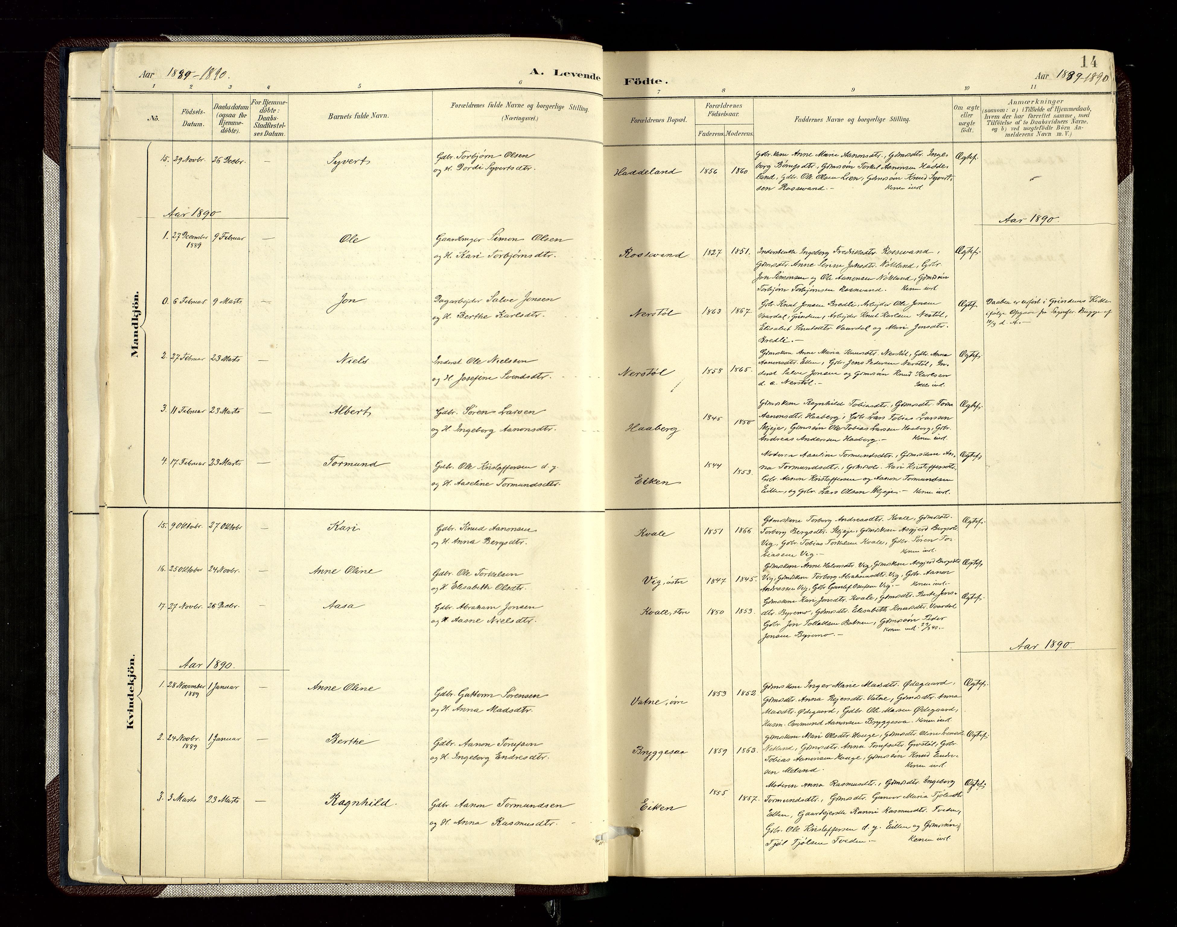 Hægebostad sokneprestkontor, SAK/1111-0024/F/Fa/Fab/L0004: Parish register (official) no. A 4, 1887-1929, p. 14