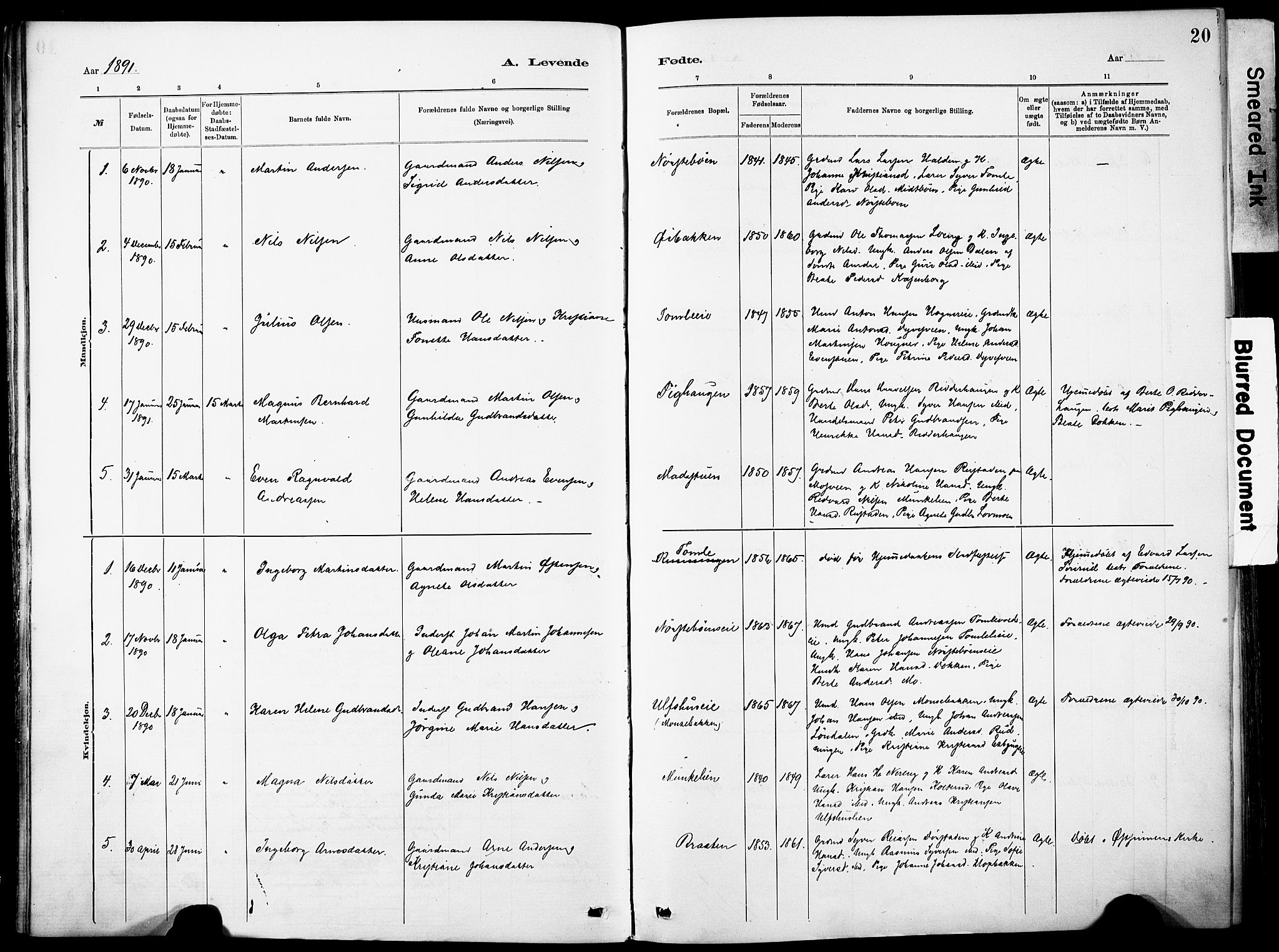 Nordre Land prestekontor, SAH/PREST-124/H/Ha/Haa/L0005: Parish register (official) no. 5, 1882-1903, p. 20