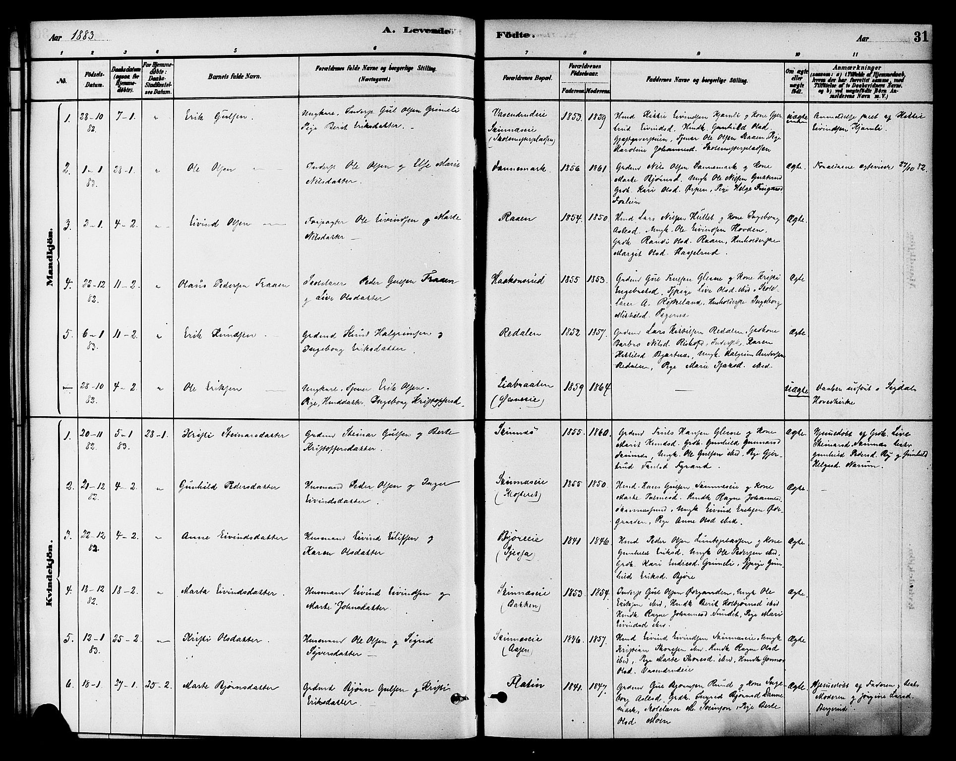 Krødsherad kirkebøker, SAKO/A-19/G/Ga/L0001: Parish register (copy) no. 1, 1879-1893, p. 31