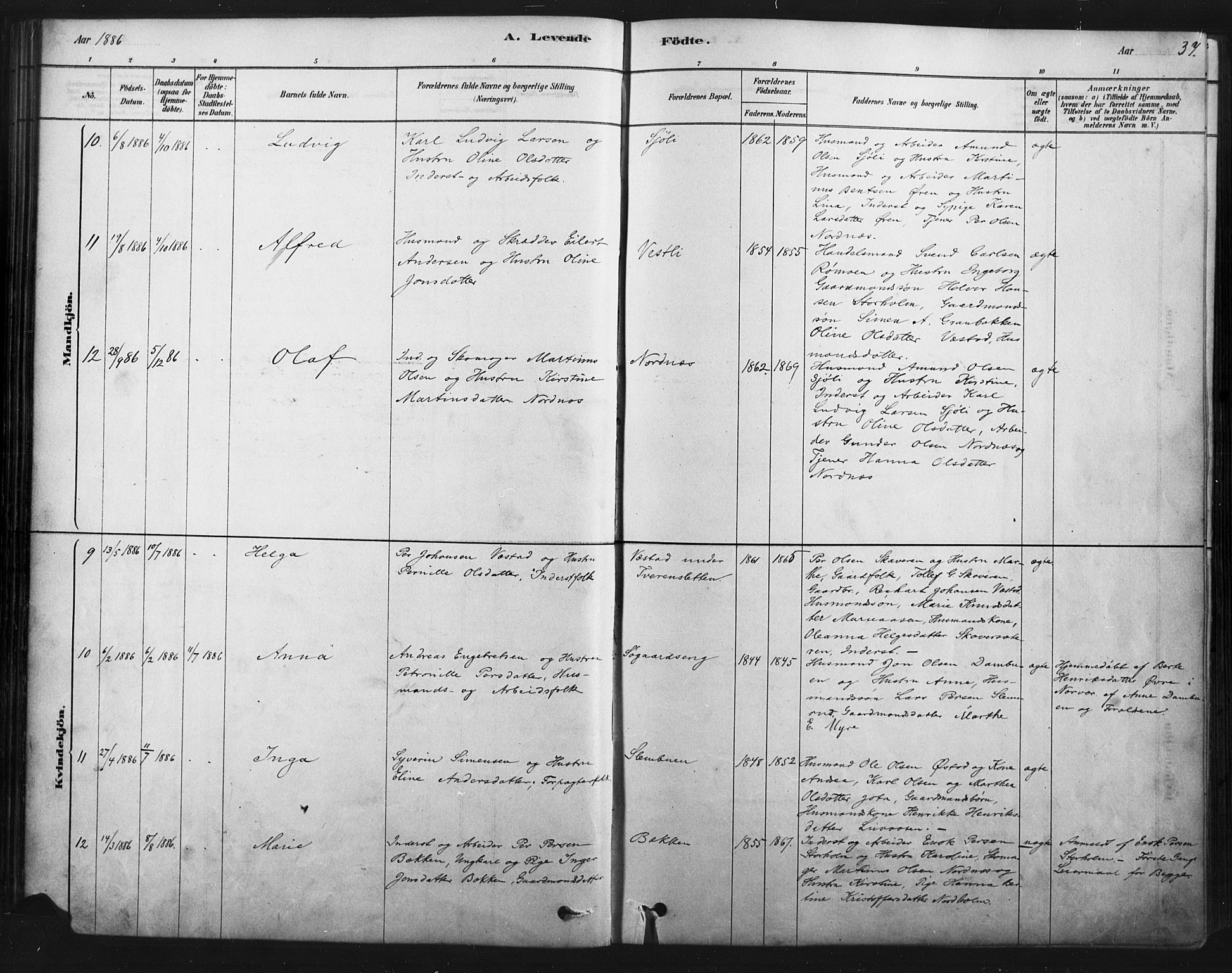 Åmot prestekontor, Hedmark, SAH/PREST-056/H/Ha/Haa/L0012: Parish register (official) no. 12, 1878-1901, p. 37