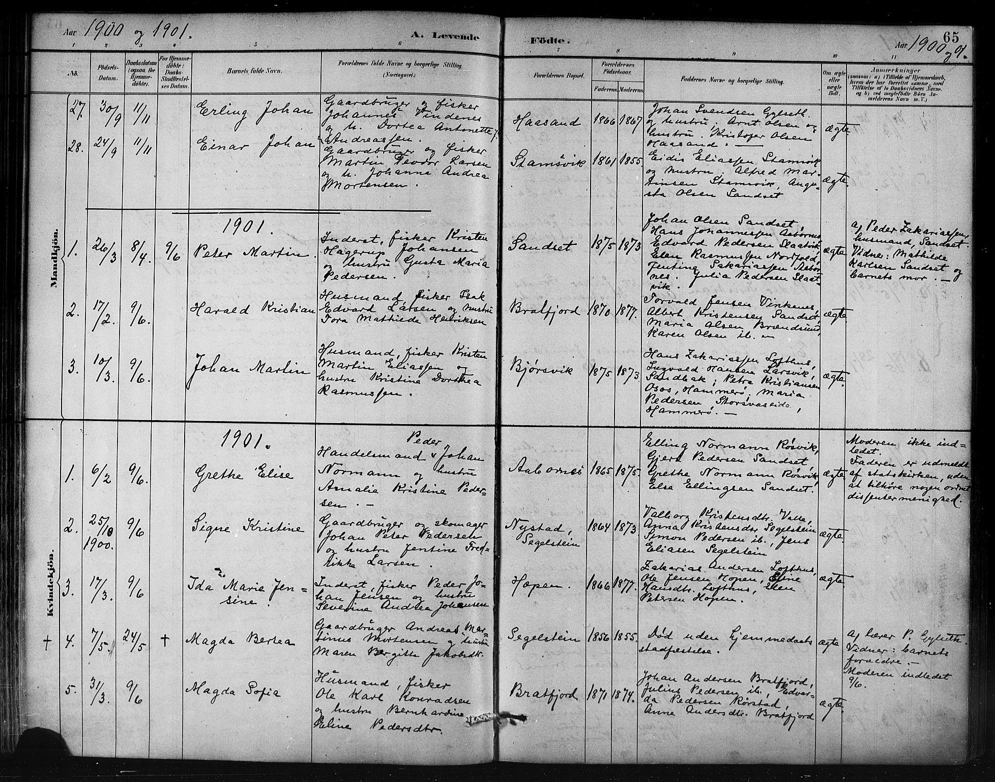 Ministerialprotokoller, klokkerbøker og fødselsregistre - Nordland, AV/SAT-A-1459/858/L0831: Parish register (official) no. 858A01, 1884-1902, p. 65