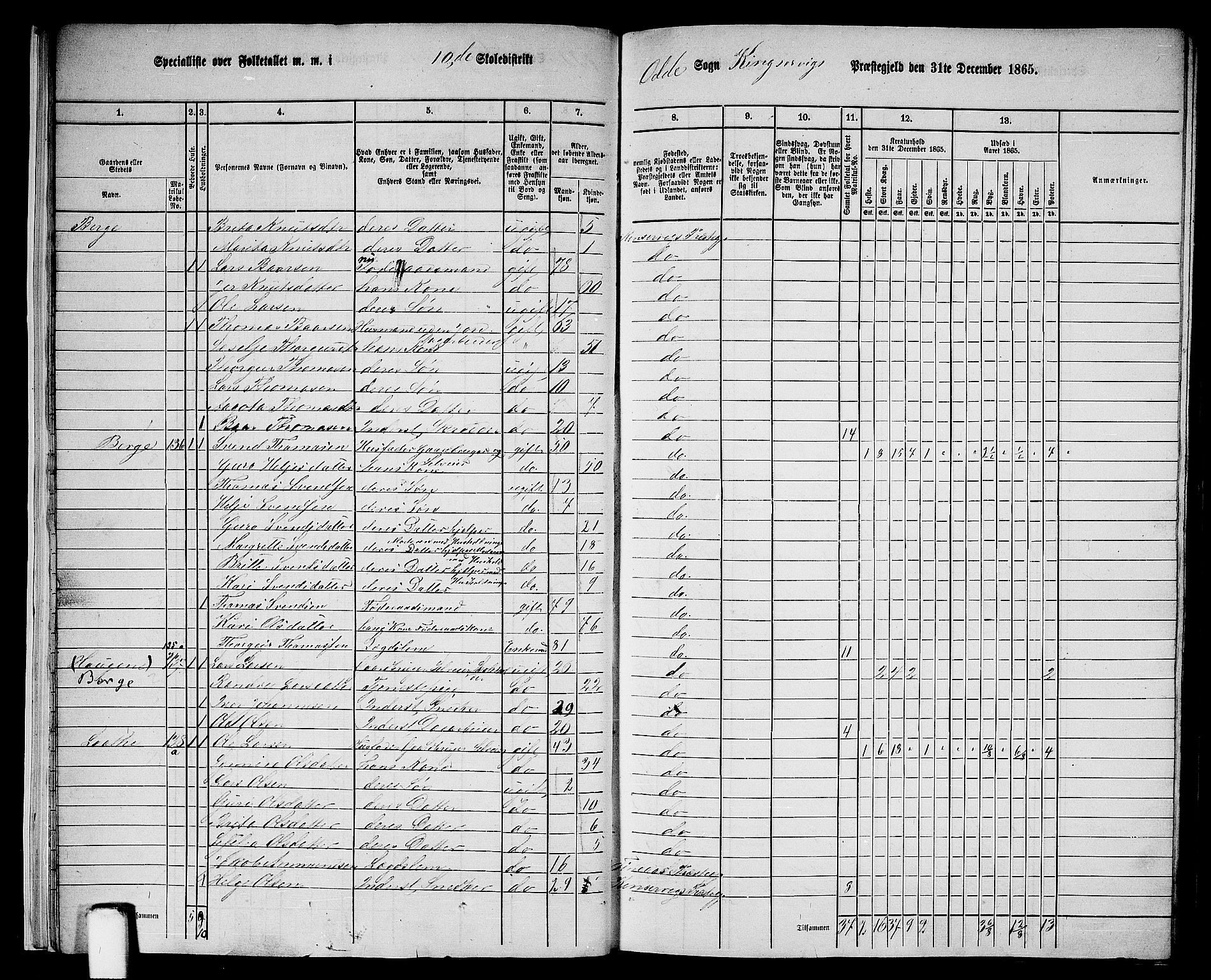 RA, 1865 census for Kinsarvik, 1865, p. 20