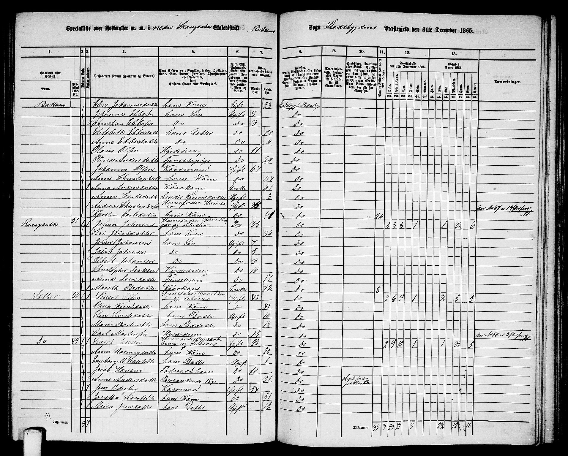 RA, 1865 census for Stadsbygd, 1865, p. 143