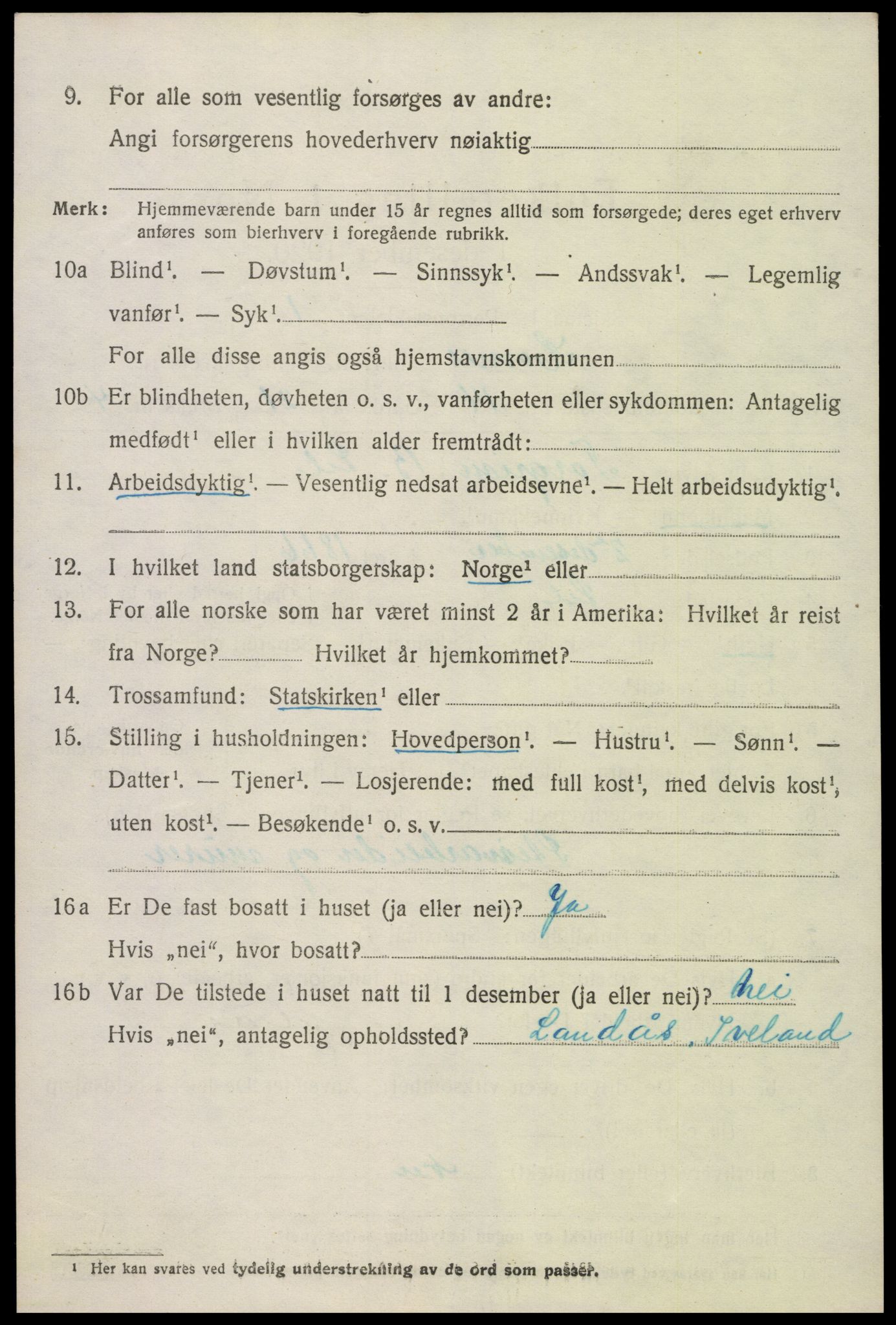 SAK, 1920 census for Hornnes, 1920, p. 3042