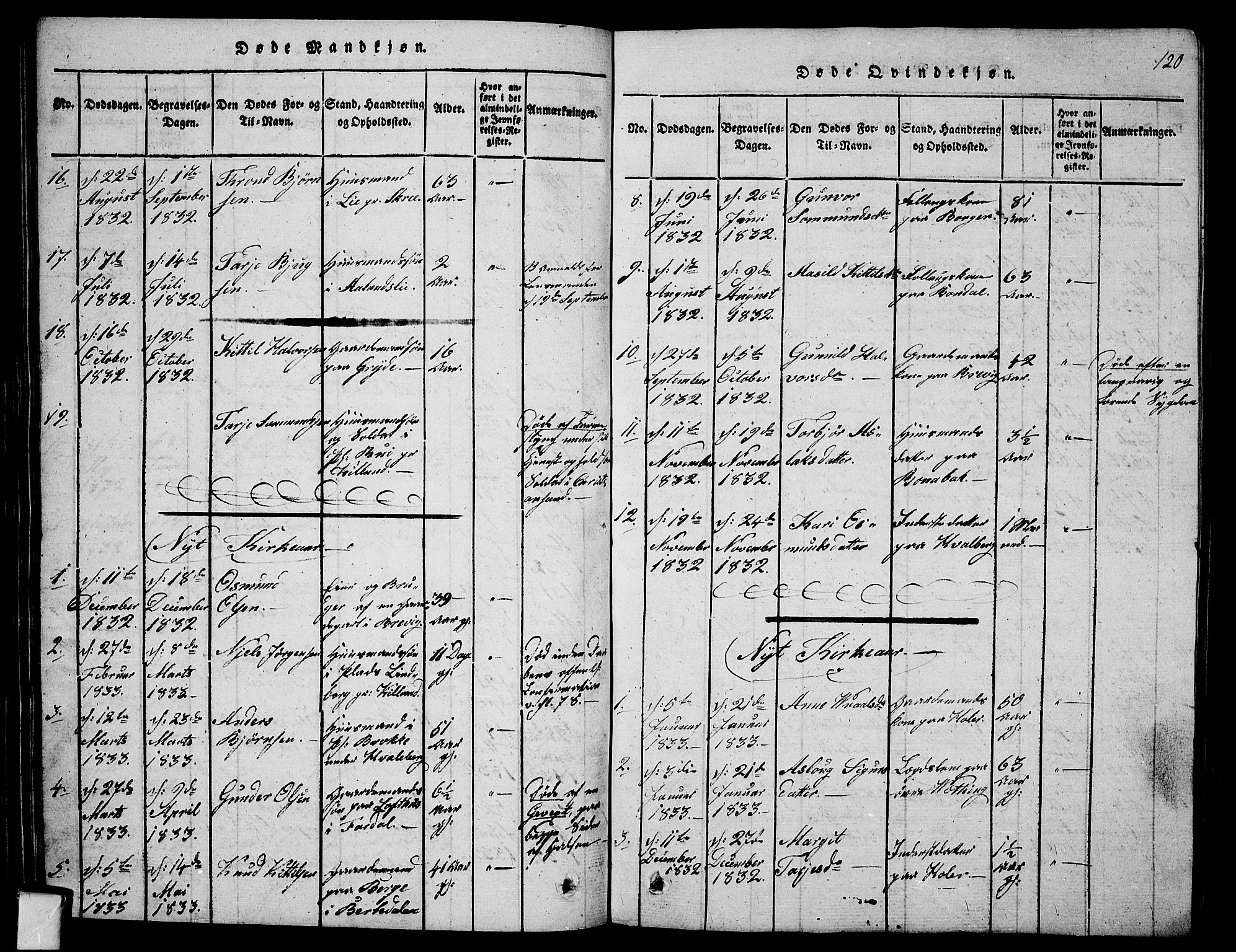 Fyresdal kirkebøker, SAKO/A-263/G/Ga/L0001: Parish register (copy) no. I 1, 1816-1840, p. 120