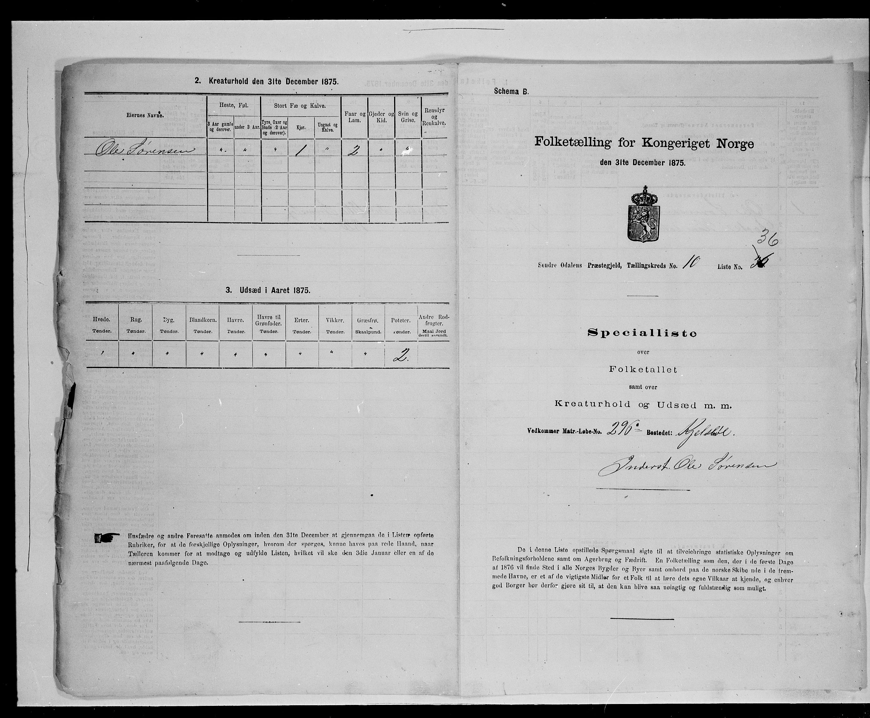 SAH, 1875 census for 0419P Sør-Odal, 1875, p. 1063