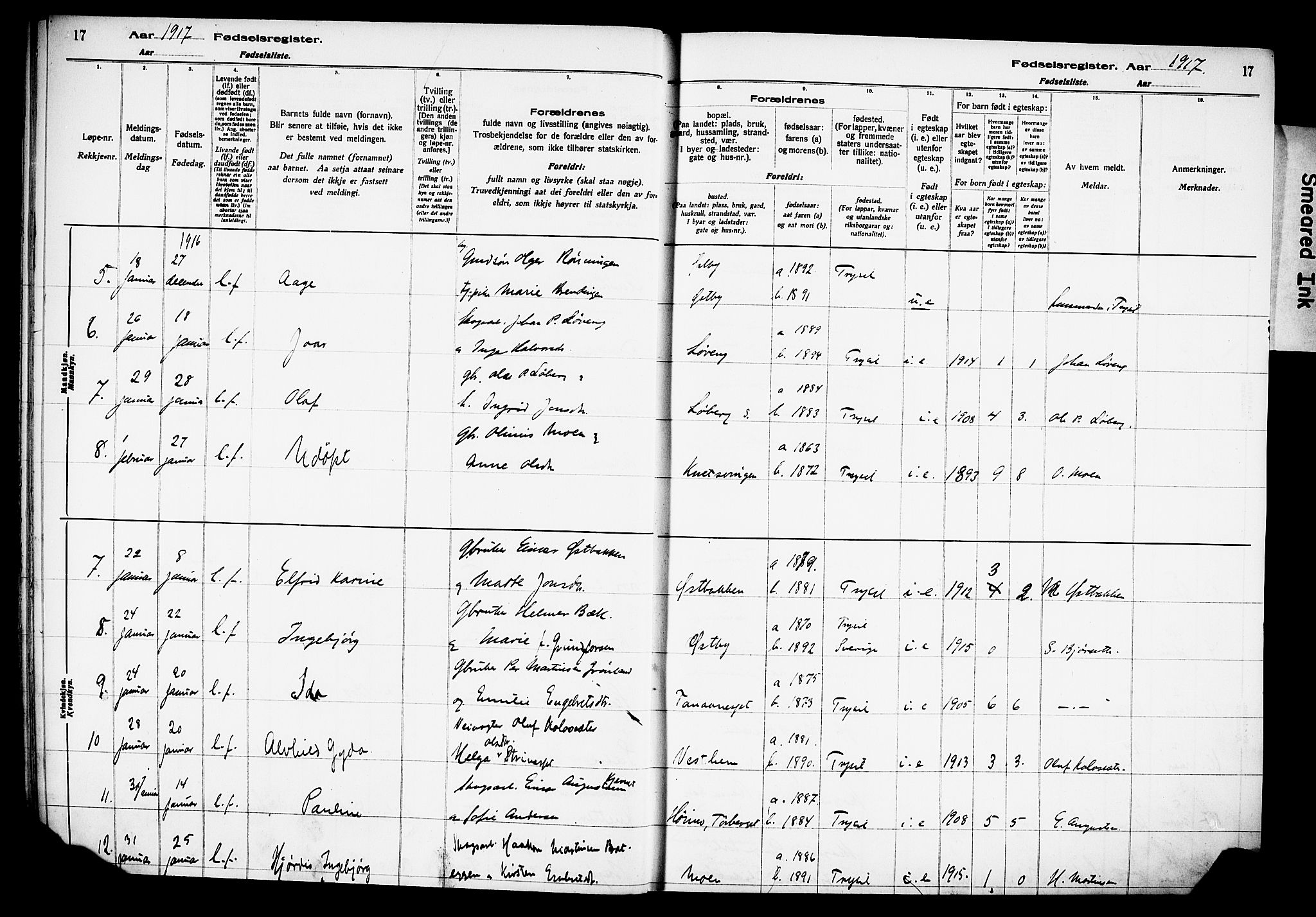 Trysil prestekontor, AV/SAH-PREST-046/I/Id/Ida/L0001: Birth register no. I 1, 1916-1927, p. 17