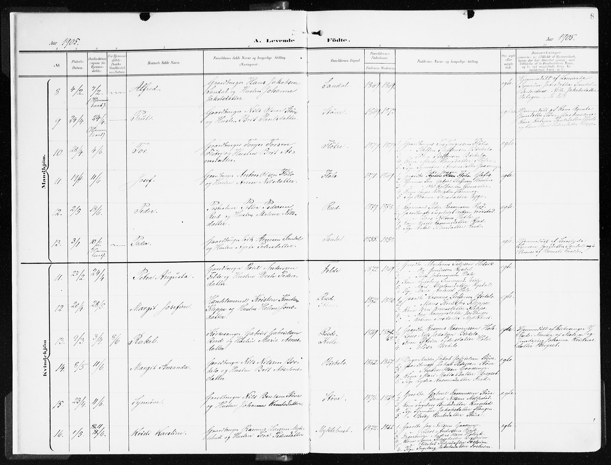 Gloppen sokneprestembete, SAB/A-80101/H/Haa/Haac/L0003: Parish register (official) no. C 3, 1904-1921, p. 8