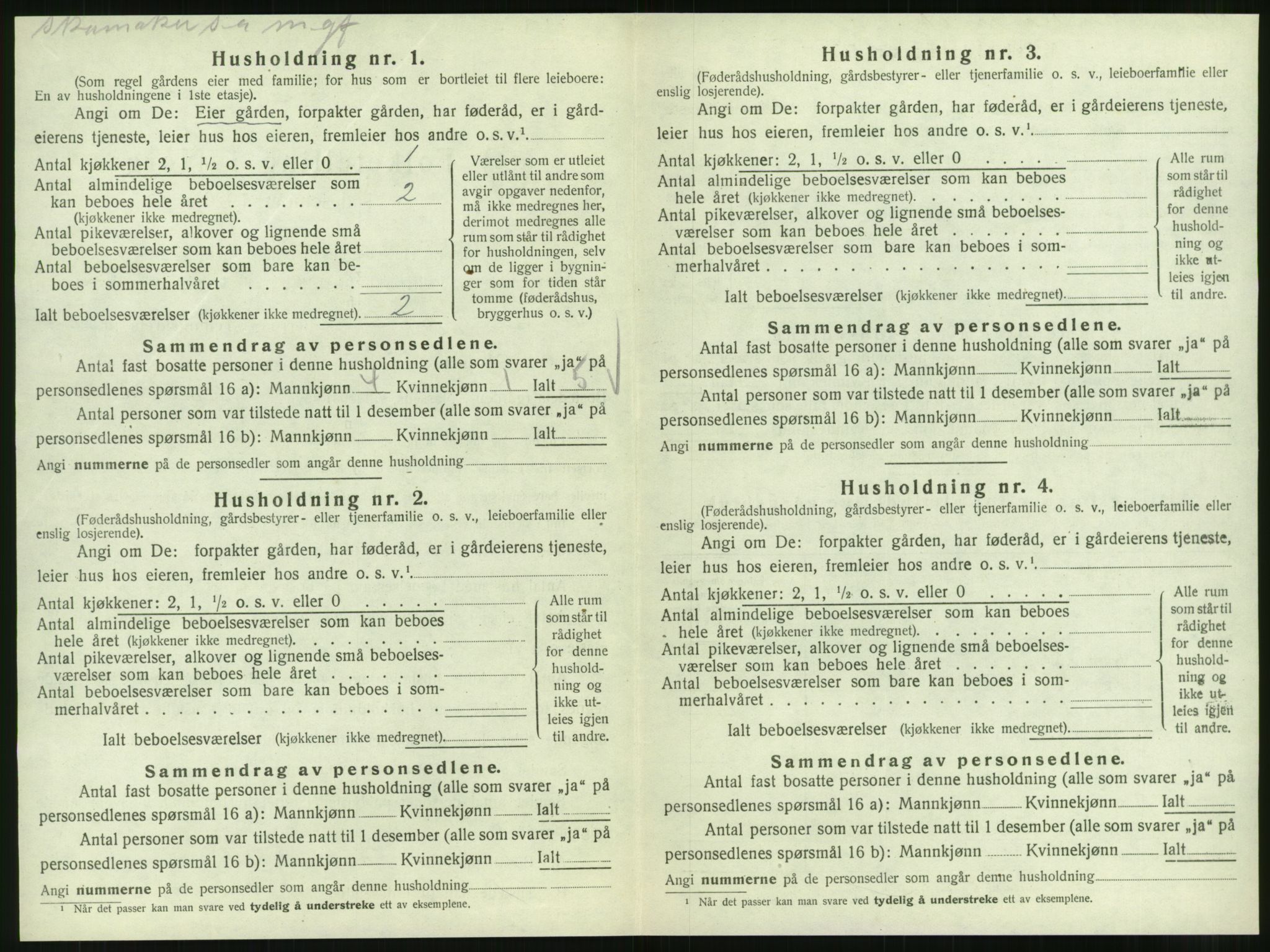 SAT, 1920 census for Vik, 1920, p. 254