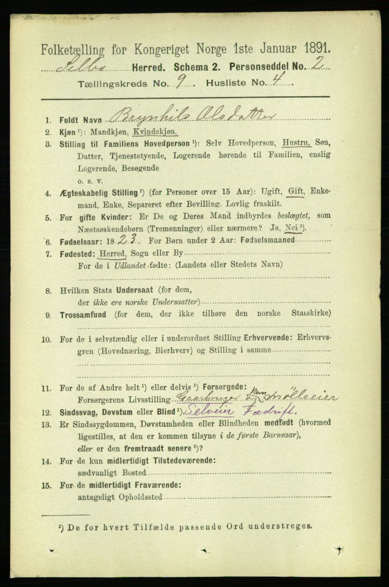 RA, 1891 census for 1664 Selbu, 1891, p. 3358