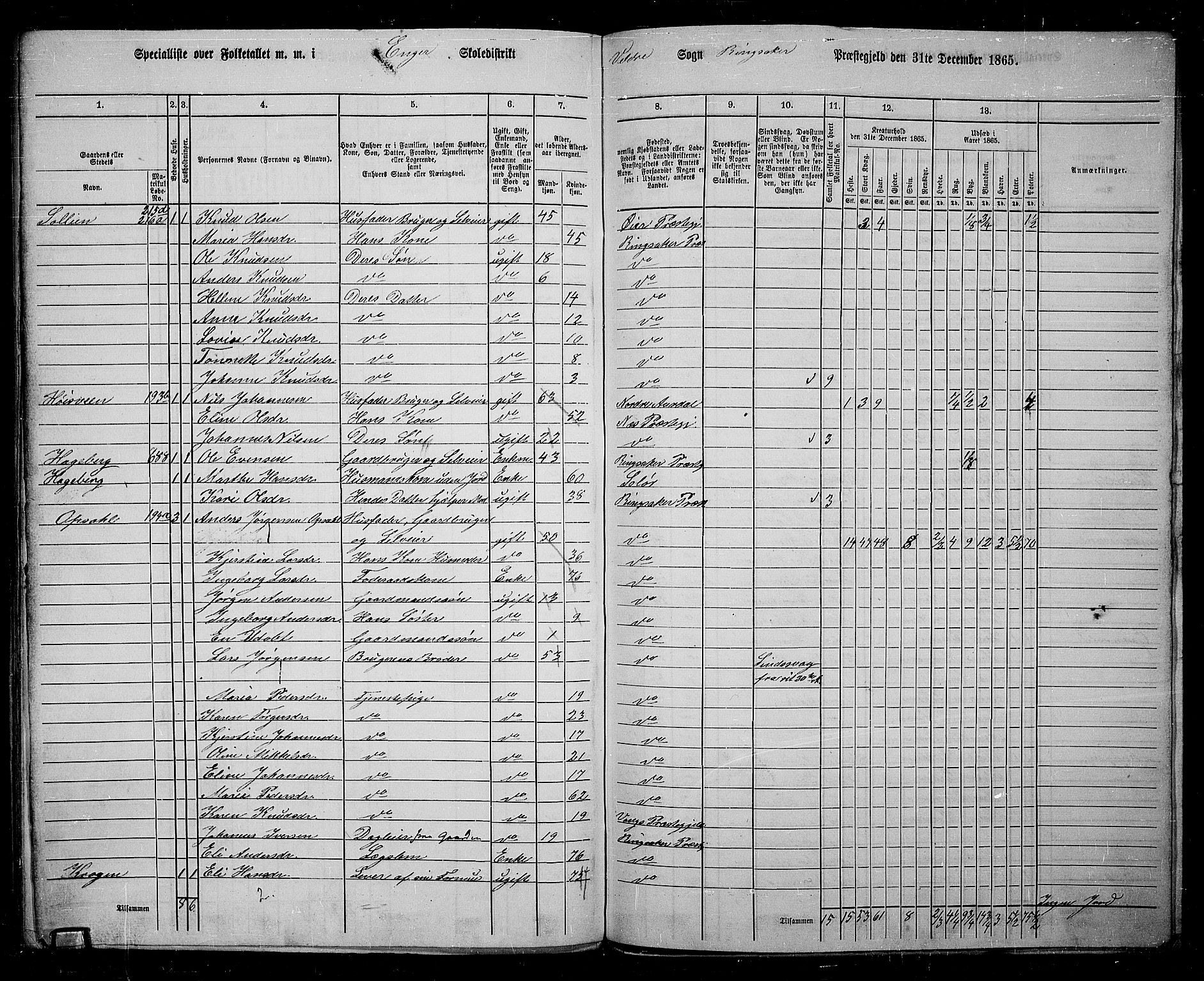 RA, 1865 census for Ringsaker, 1865, p. 232