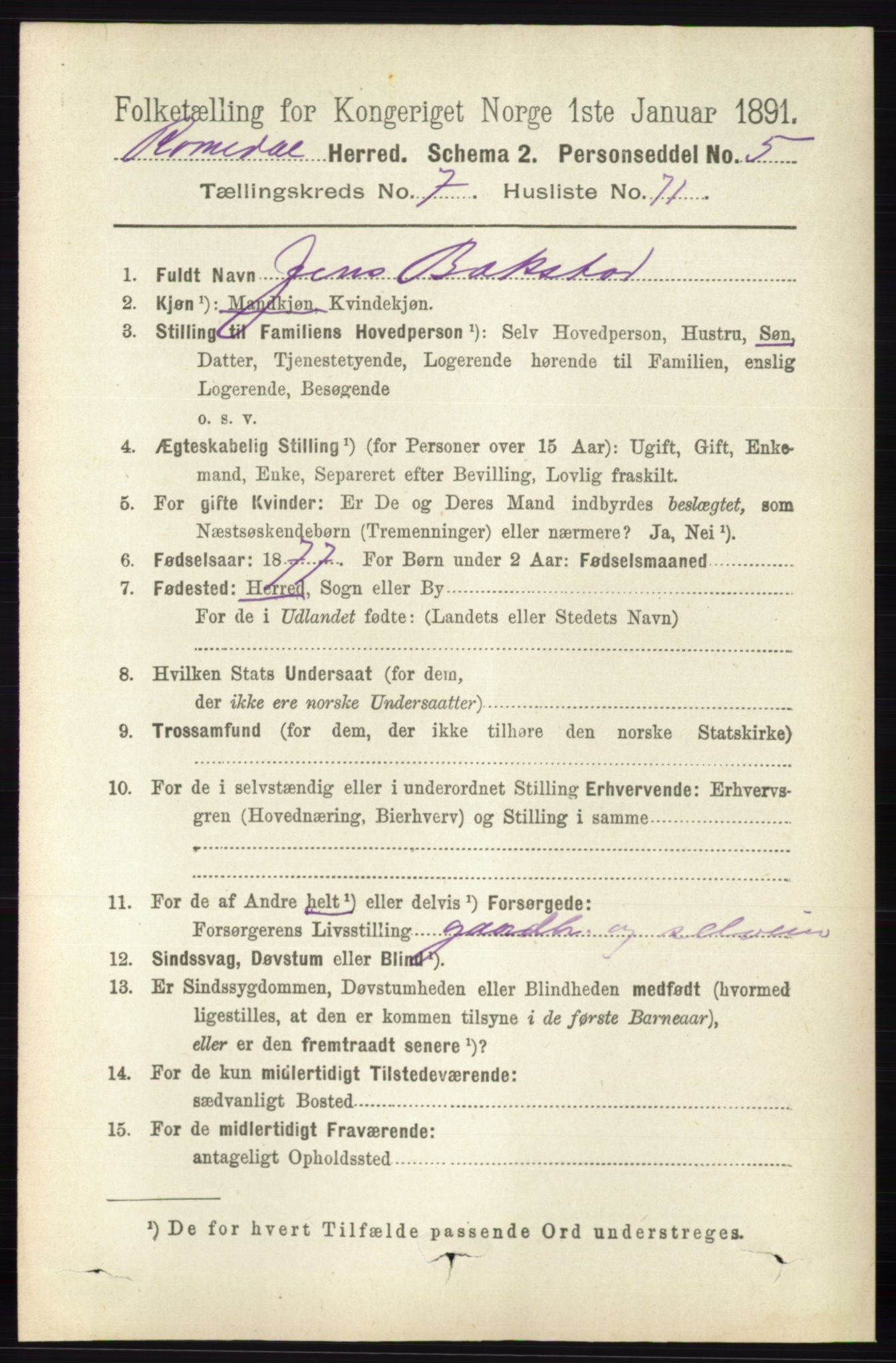 RA, 1891 census for 0416 Romedal, 1891, p. 3901