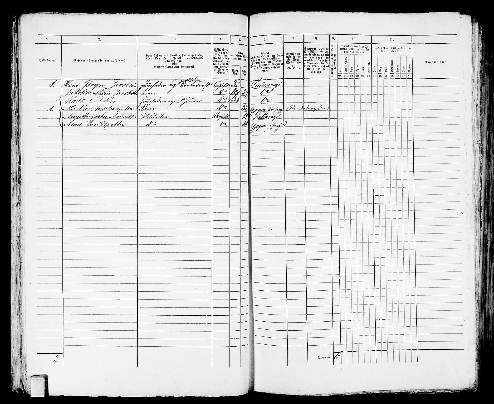 RA, 1865 census for Larvik, 1865, p. 740