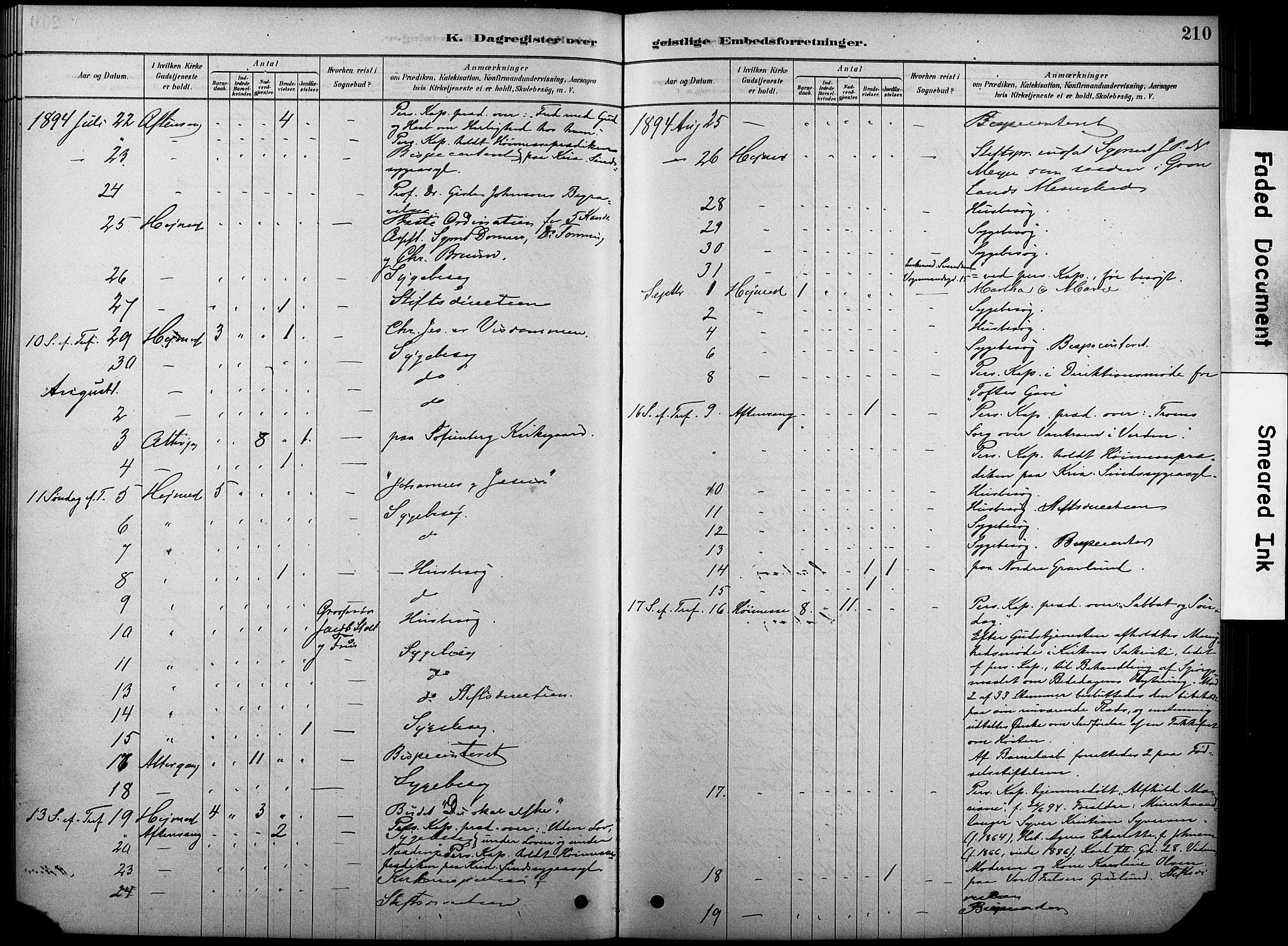 Oslo domkirke Kirkebøker, SAO/A-10752/F/Fa/L0038: Parish register (official) no. 38, 1878-1921, p. 210