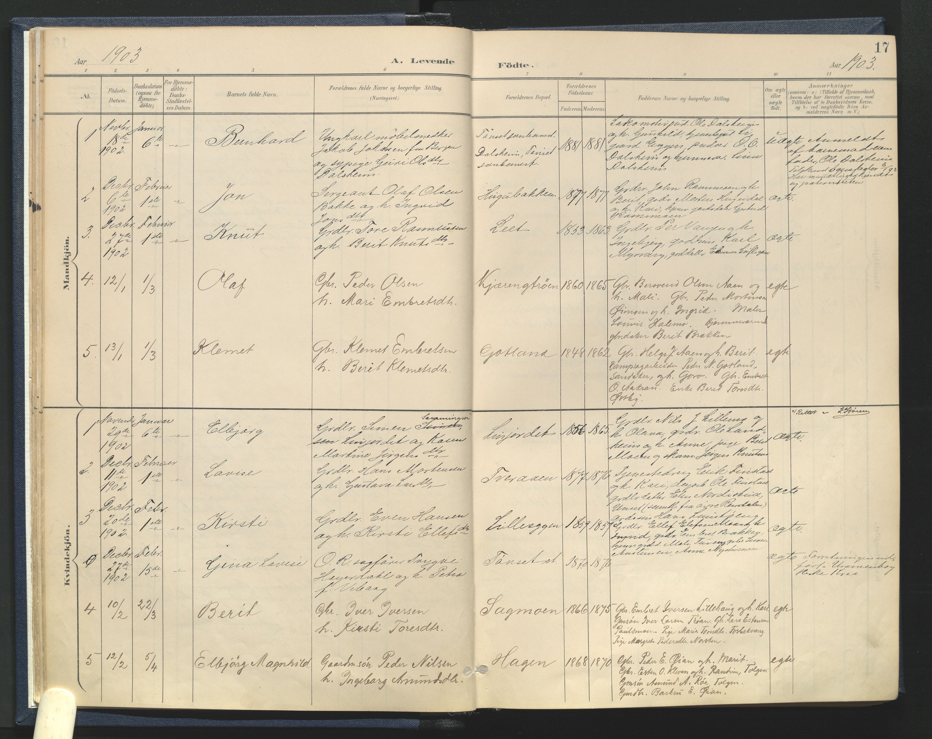 Tynset prestekontor, SAH/PREST-058/H/Ha/Haa/L0025: Parish register (official) no. 25, 1900-1914, p. 17