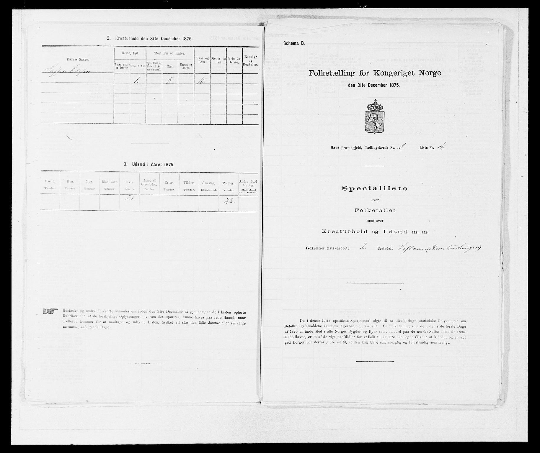 SAB, 1875 census for 1250P Haus, 1875, p. 34