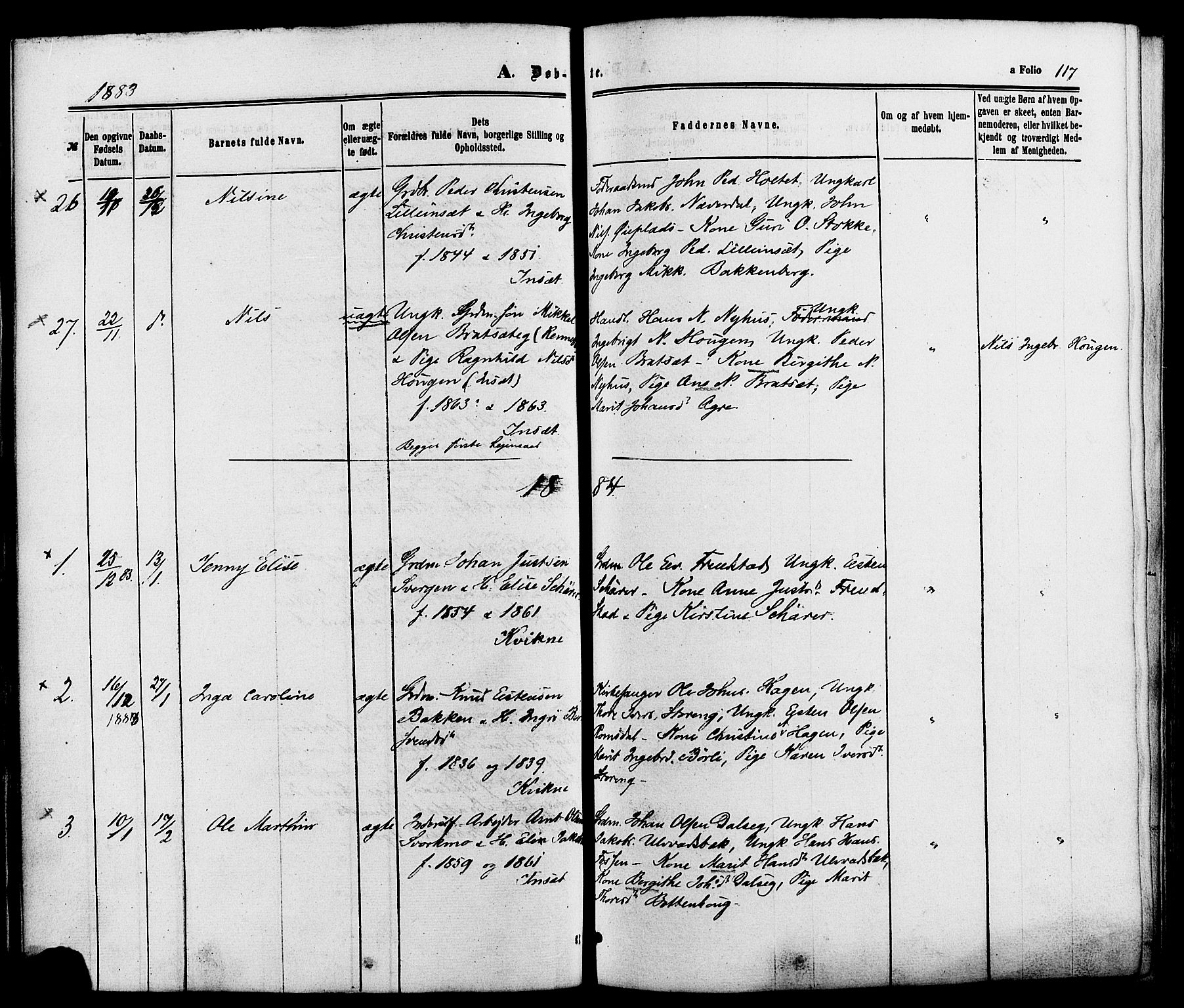 Kvikne prestekontor, SAH/PREST-064/H/Ha/Haa/L0006: Parish register (official) no. 6, 1863-1886, p. 117