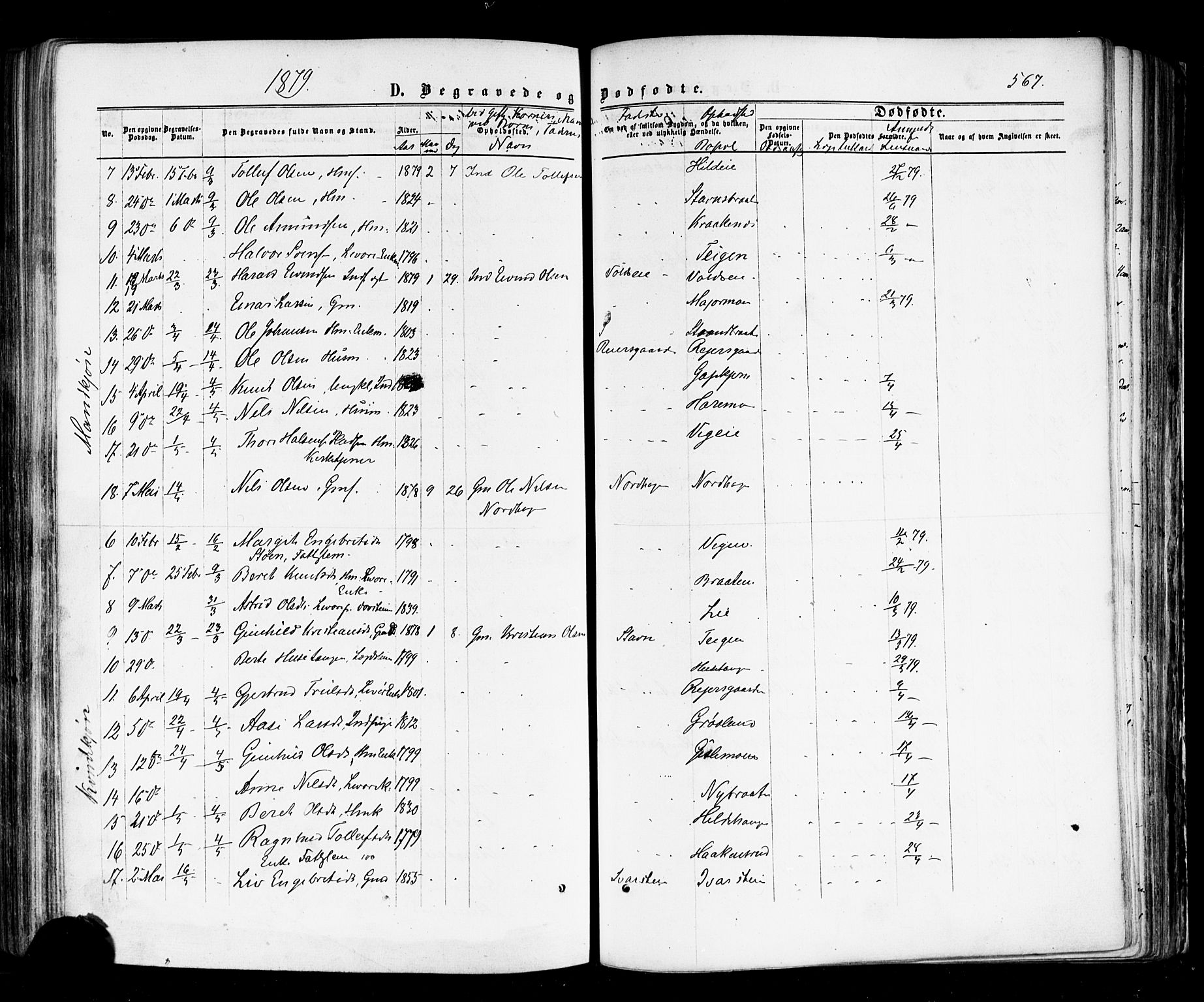 Nes kirkebøker, AV/SAKO-A-236/F/Fa/L0010: Parish register (official) no. 10, 1864-1880, p. 567