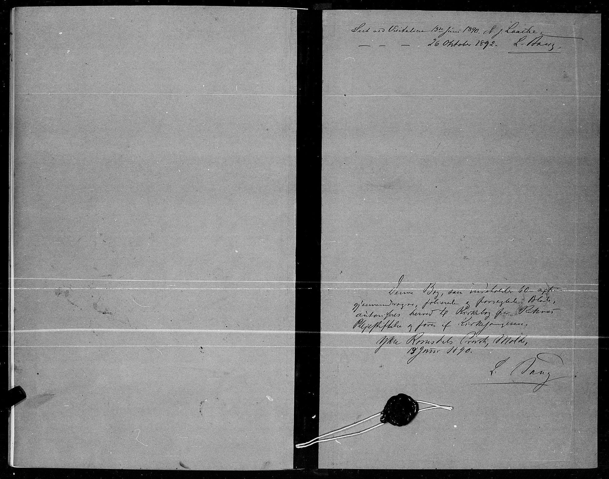 Ministerialprotokoller, klokkerbøker og fødselsregistre - Møre og Romsdal, SAT/A-1454/559/L0716: Parish register (copy) no. 559C02, 1887-1895