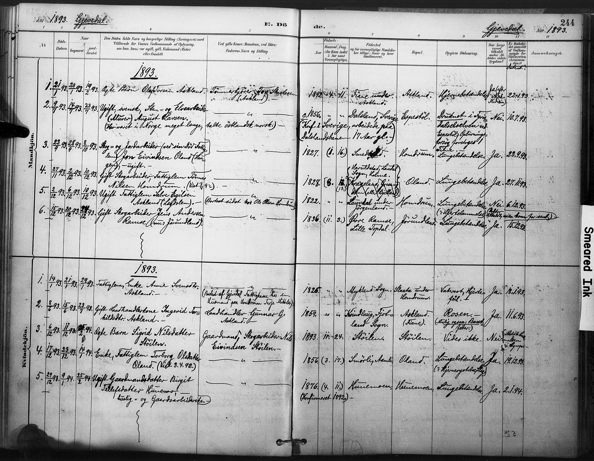 Åmli sokneprestkontor, SAK/1111-0050/F/Fa/Fac/L0010: Parish register (official) no. A 10 /2, 1885-1899, p. 244