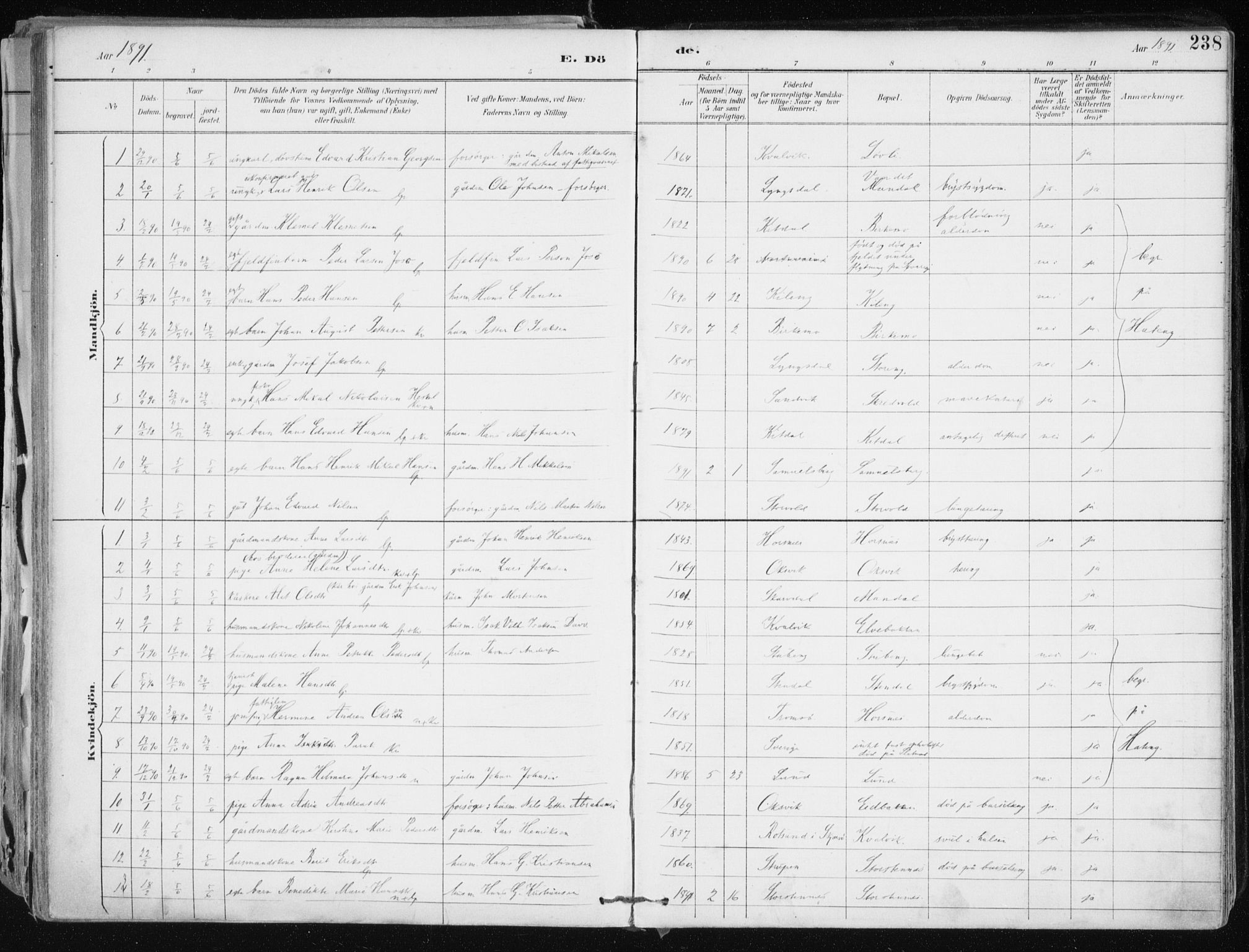 Lyngen sokneprestembete, SATØ/S-1289/H/He/Hea/L0008kirke: Parish register (official) no. 8, 1891-1902, p. 238