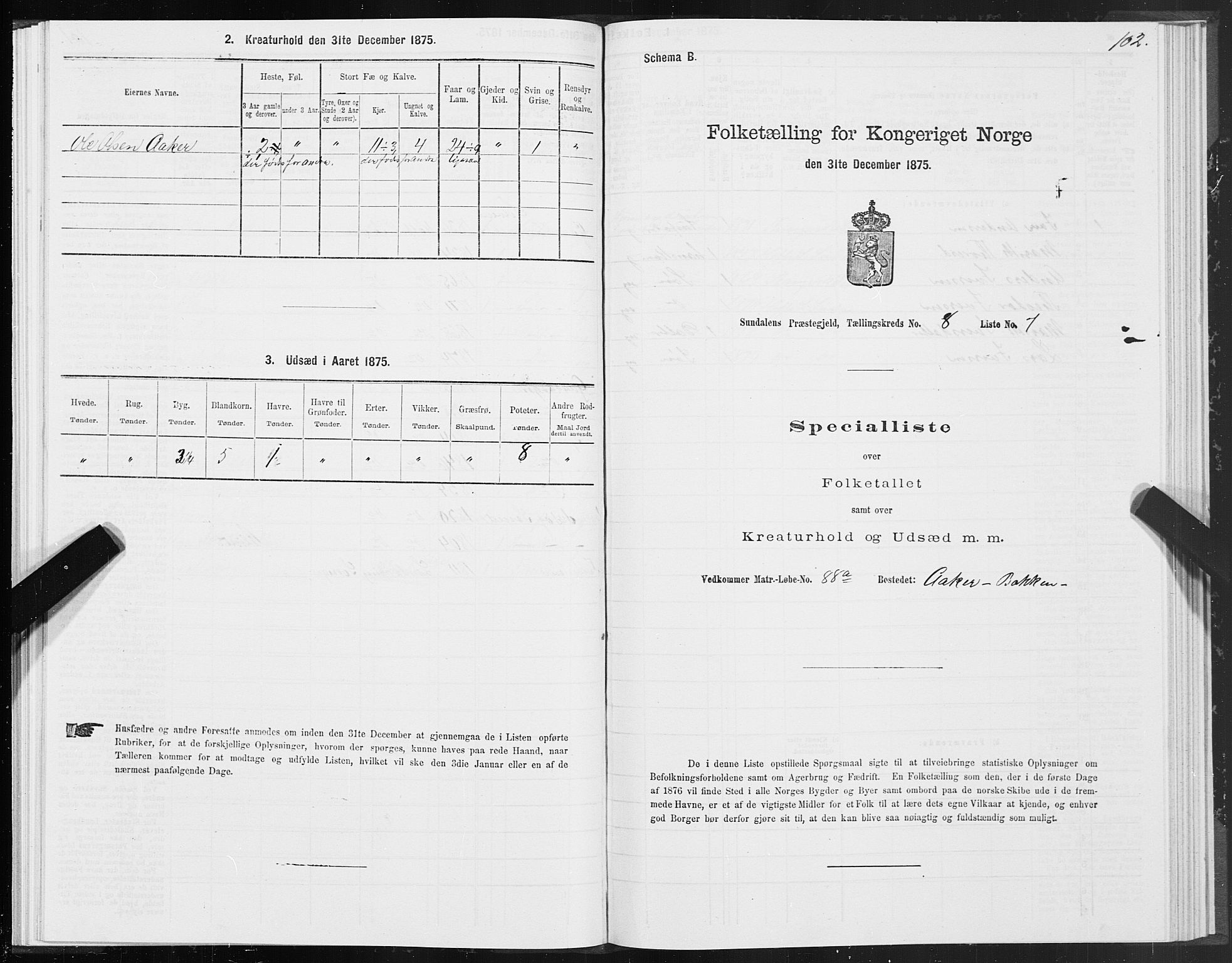 SAT, 1875 census for 1563P Sunndal, 1875, p. 3102