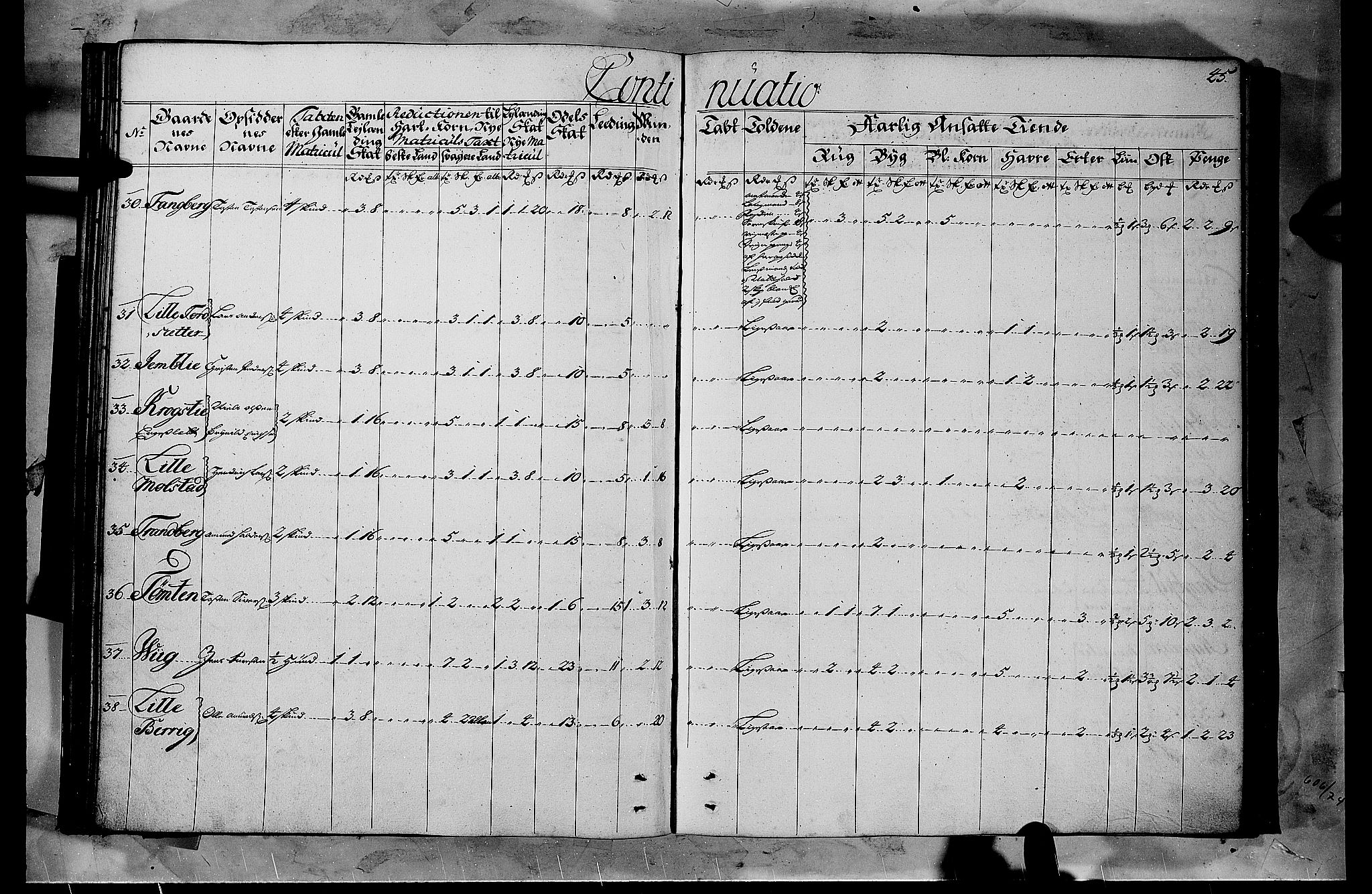 Rentekammeret inntil 1814, Realistisk ordnet avdeling, AV/RA-EA-4070/N/Nb/Nbf/L0103b: Hedmark matrikkelprotokoll, 1723, p. 45b-46a