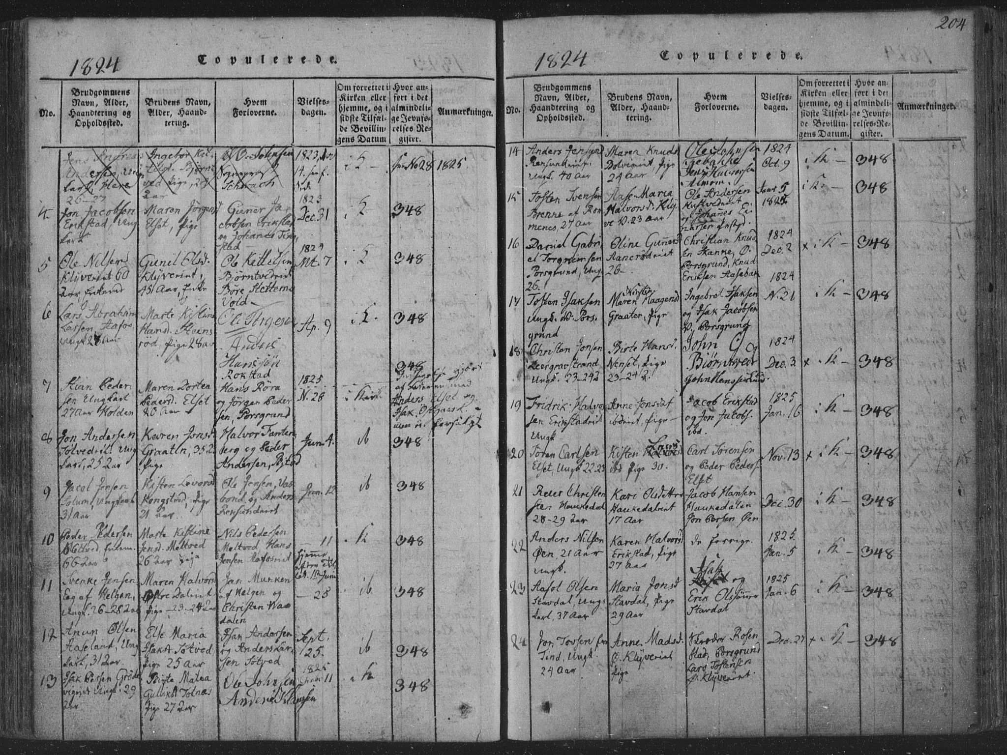 Solum kirkebøker, SAKO/A-306/F/Fa/L0004: Parish register (official) no. I 4, 1814-1833, p. 204
