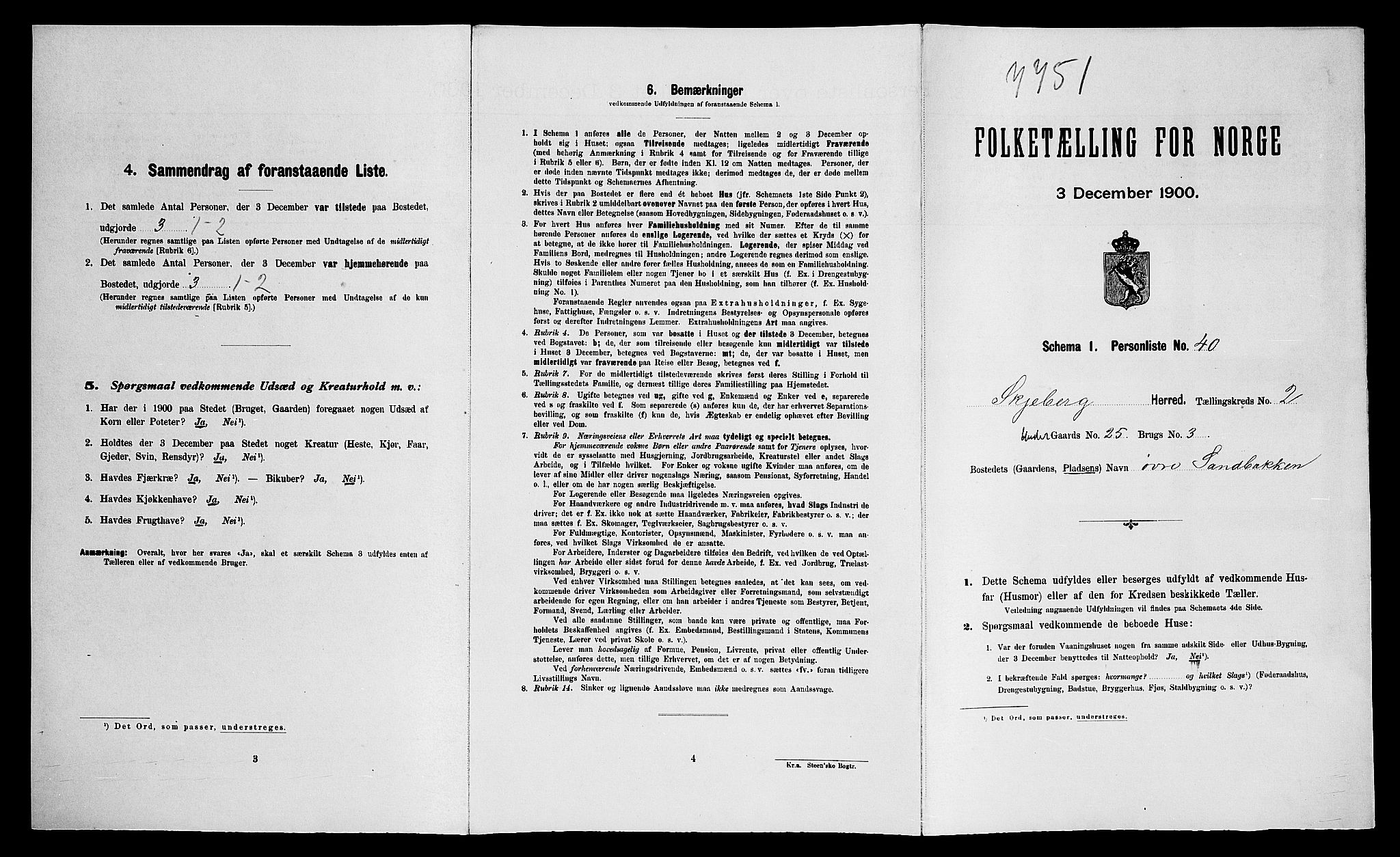 SAO, 1900 census for Skjeberg, 1900, p. 555