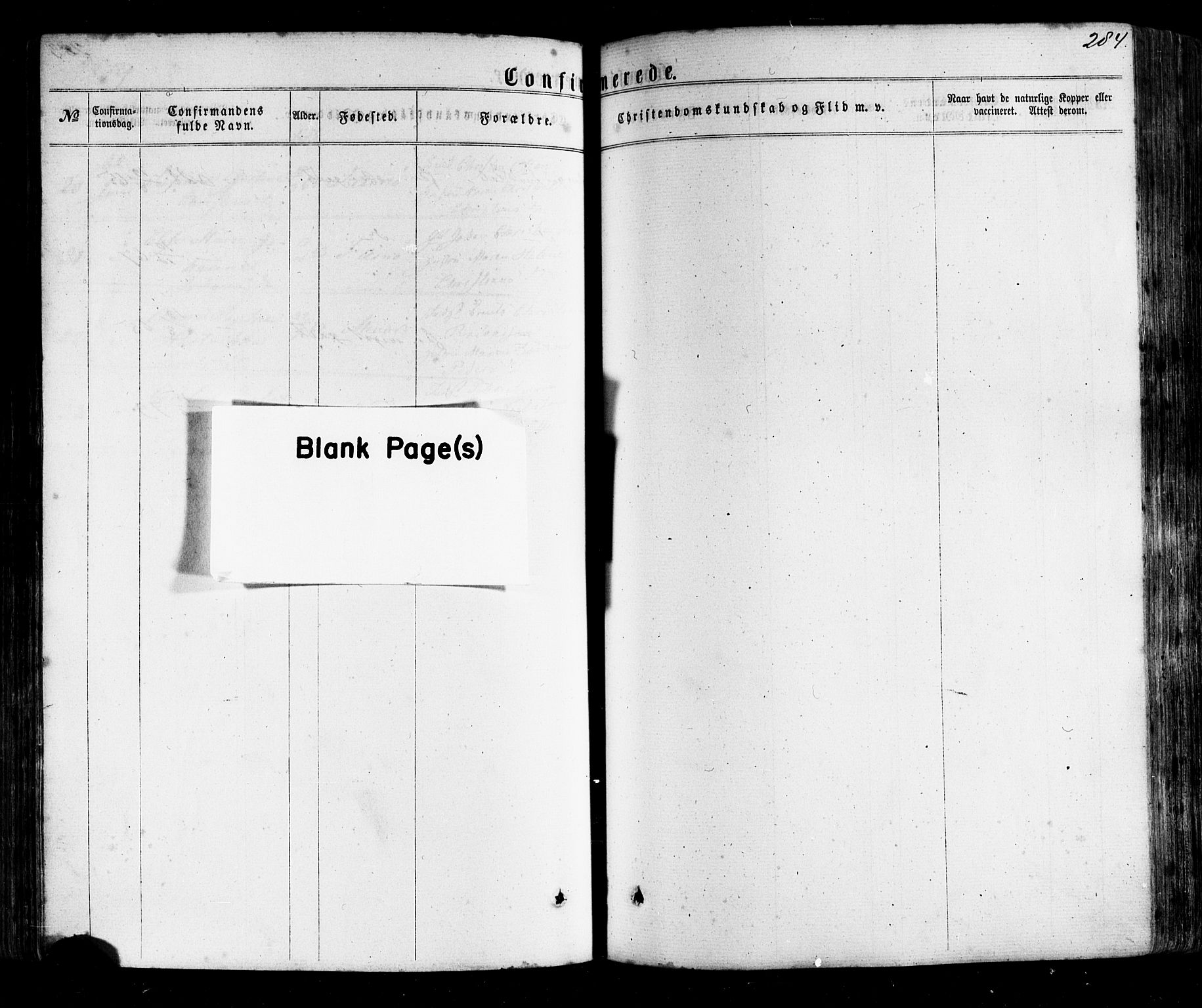 Ministerialprotokoller, klokkerbøker og fødselsregistre - Nordland, AV/SAT-A-1459/805/L0098: Parish register (official) no. 805A05, 1862-1879, p. 284