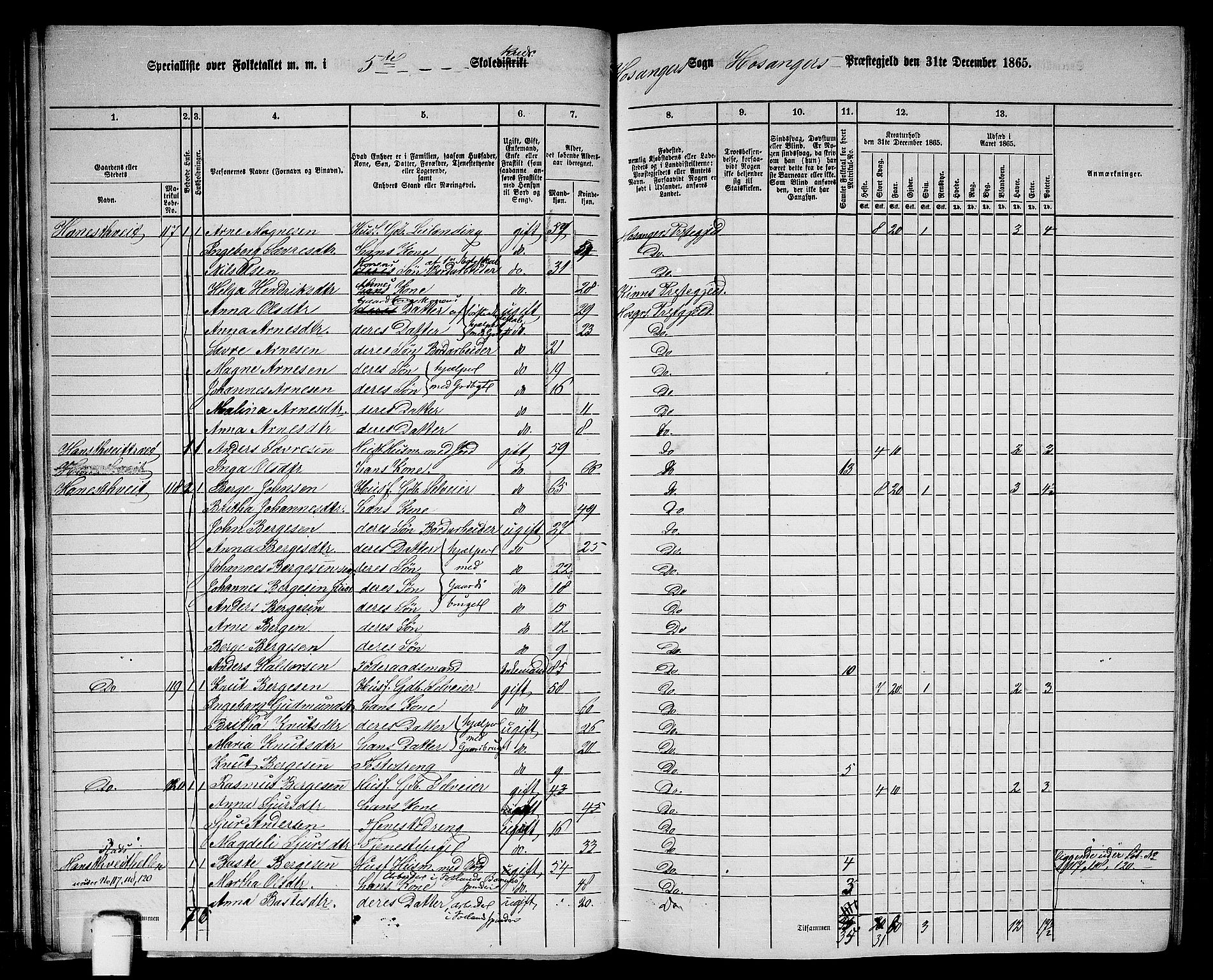 RA, 1865 census for Hosanger, 1865, p. 37