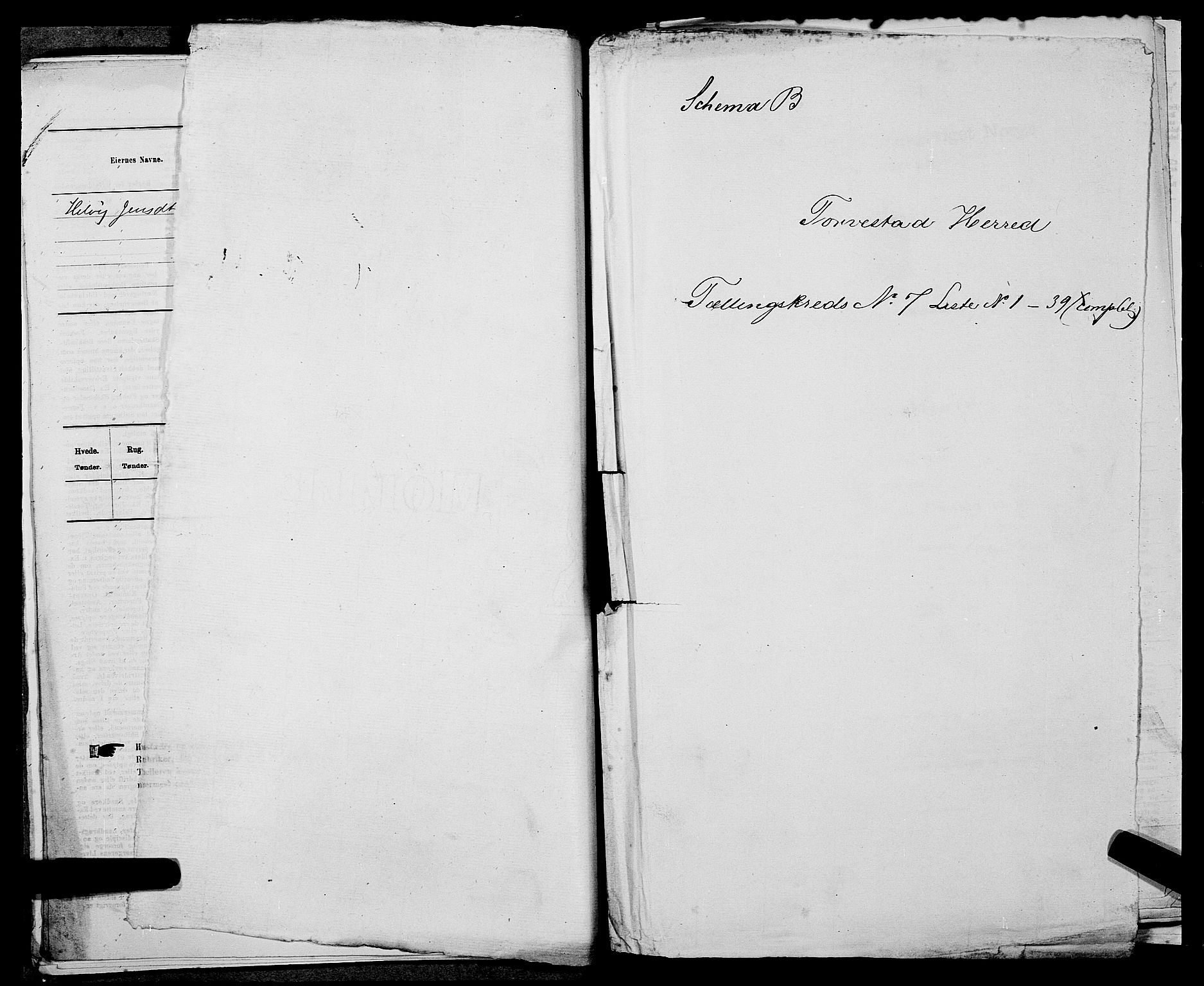 SAST, 1875 census for 1152L Torvastad/Torvastad, Skåre og Utsira, 1875, p. 896