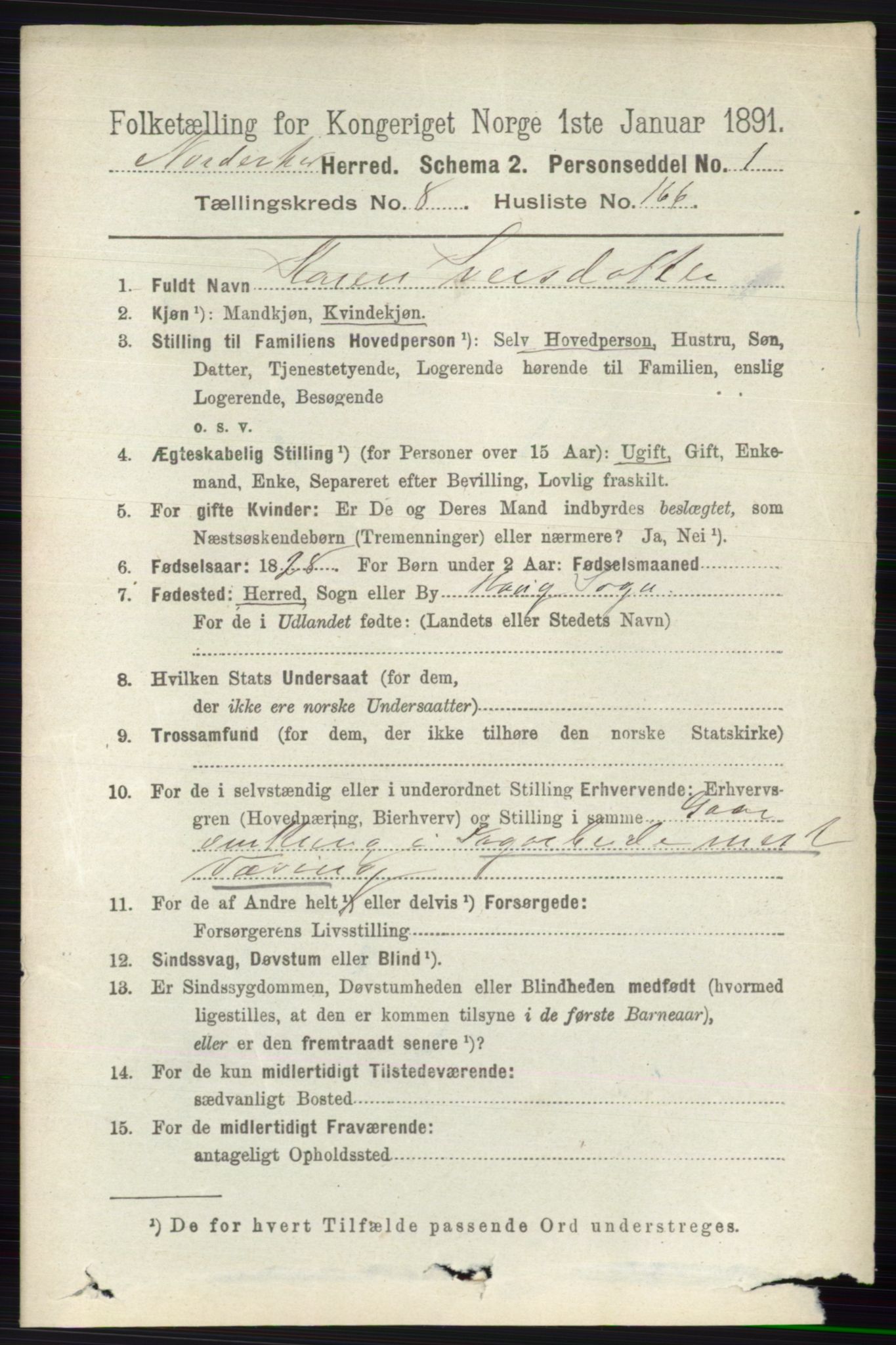 RA, 1891 census for 0613 Norderhov, 1891, p. 6480