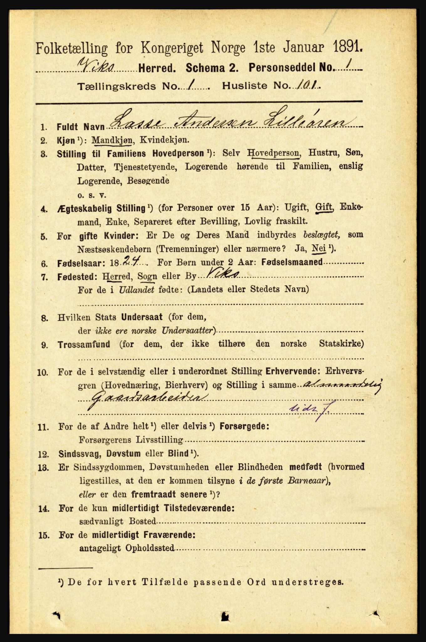 RA, 1891 census for 1417 Vik, 1891, p. 607