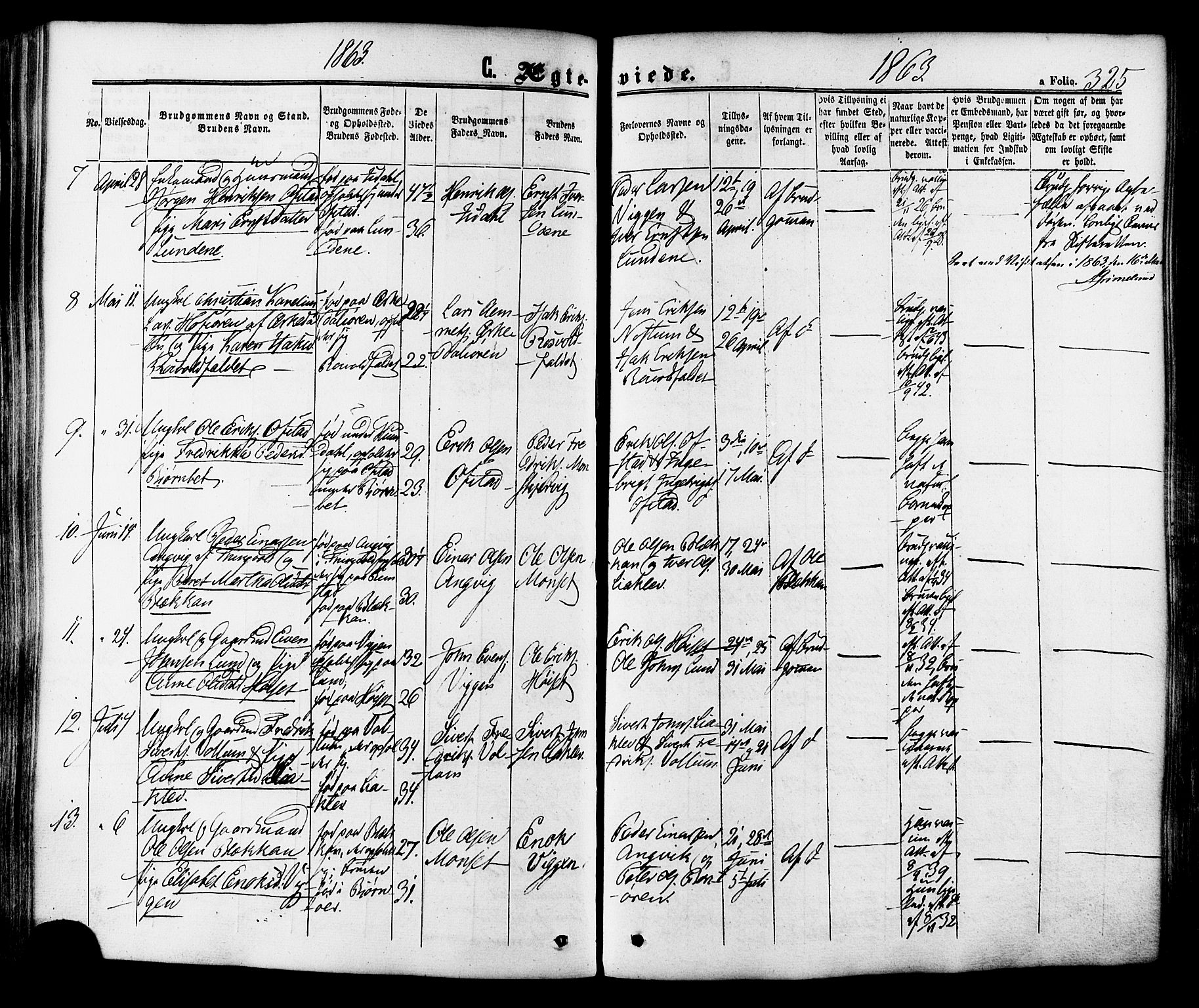 Ministerialprotokoller, klokkerbøker og fødselsregistre - Sør-Trøndelag, SAT/A-1456/665/L0772: Parish register (official) no. 665A07, 1856-1878, p. 325