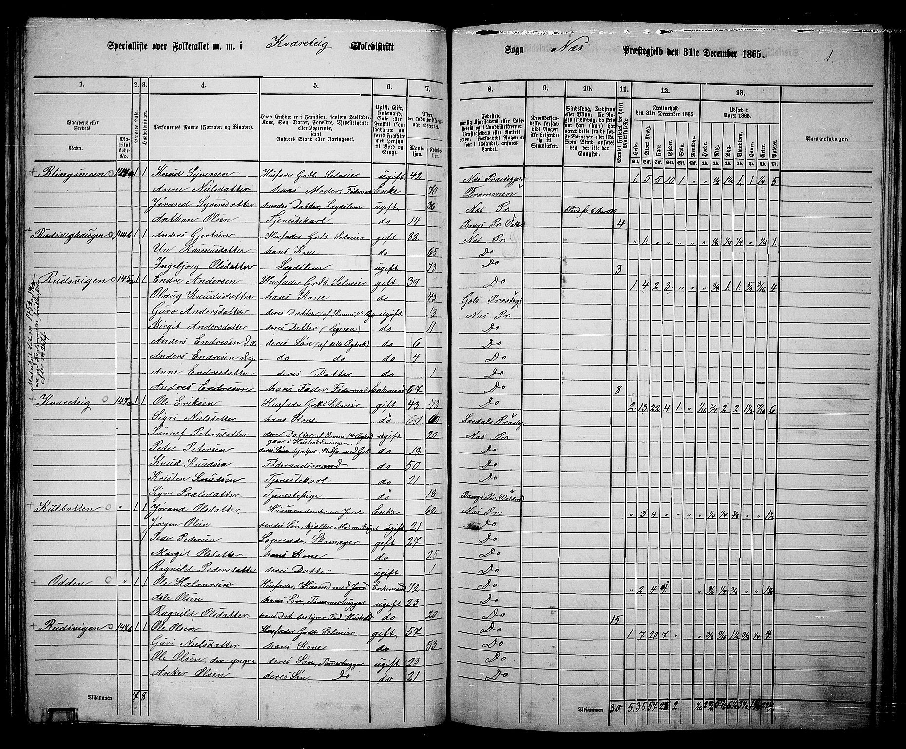 RA, 1865 census for Nes, 1865, p. 128