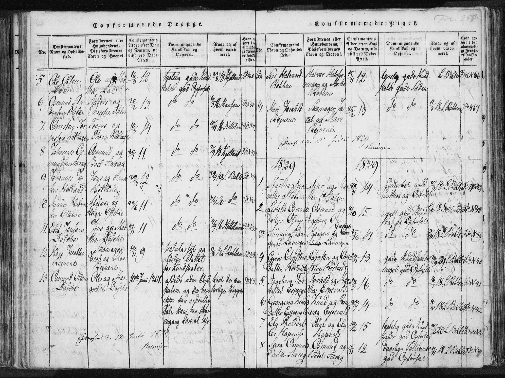 Vikedal sokneprestkontor, SAST/A-101840/01/IV: Parish register (official) no. A 3, 1817-1850, p. 250