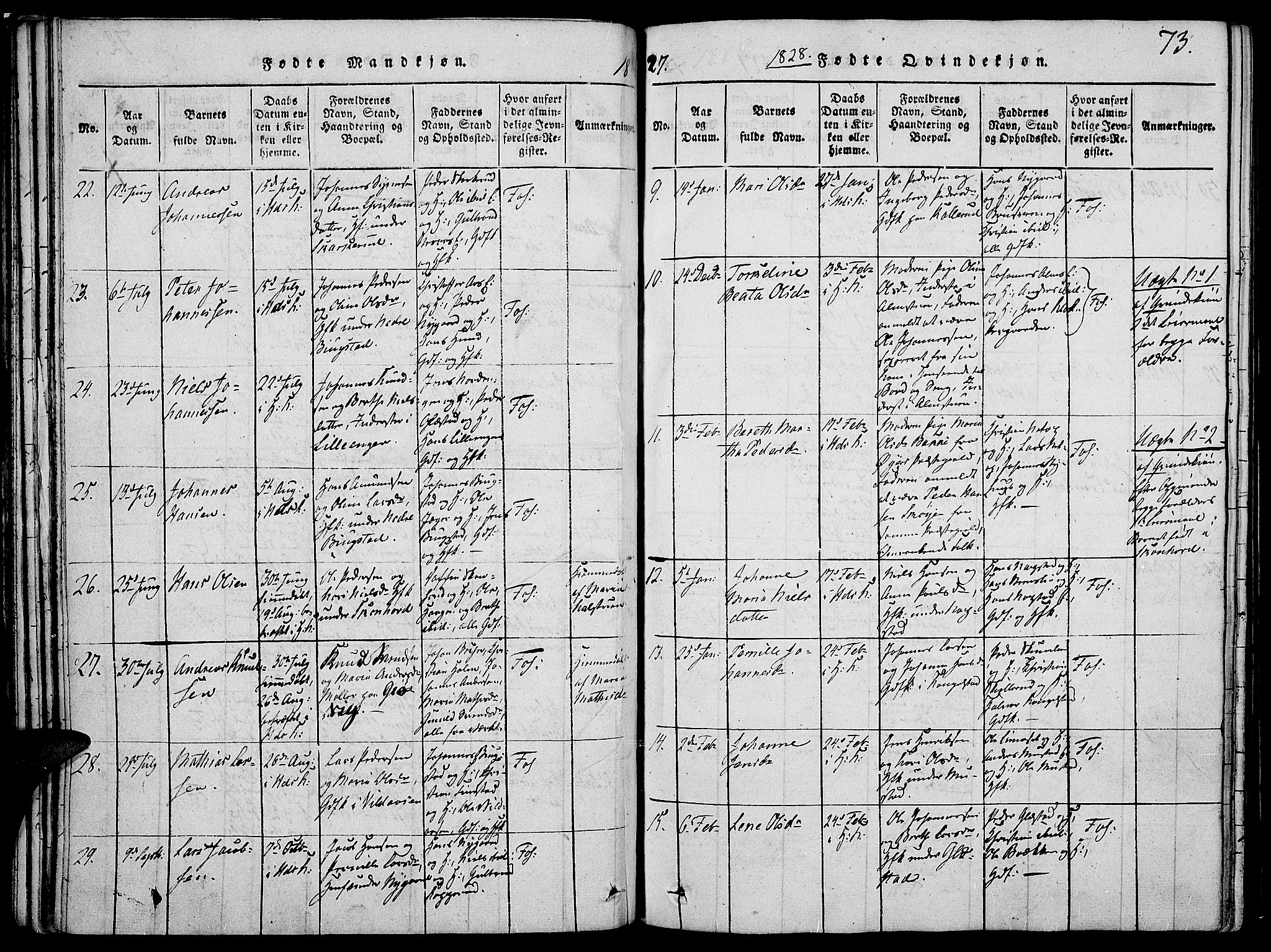 Vardal prestekontor, AV/SAH-PREST-100/H/Ha/Haa/L0004: Parish register (official) no. 4, 1814-1831, p. 73