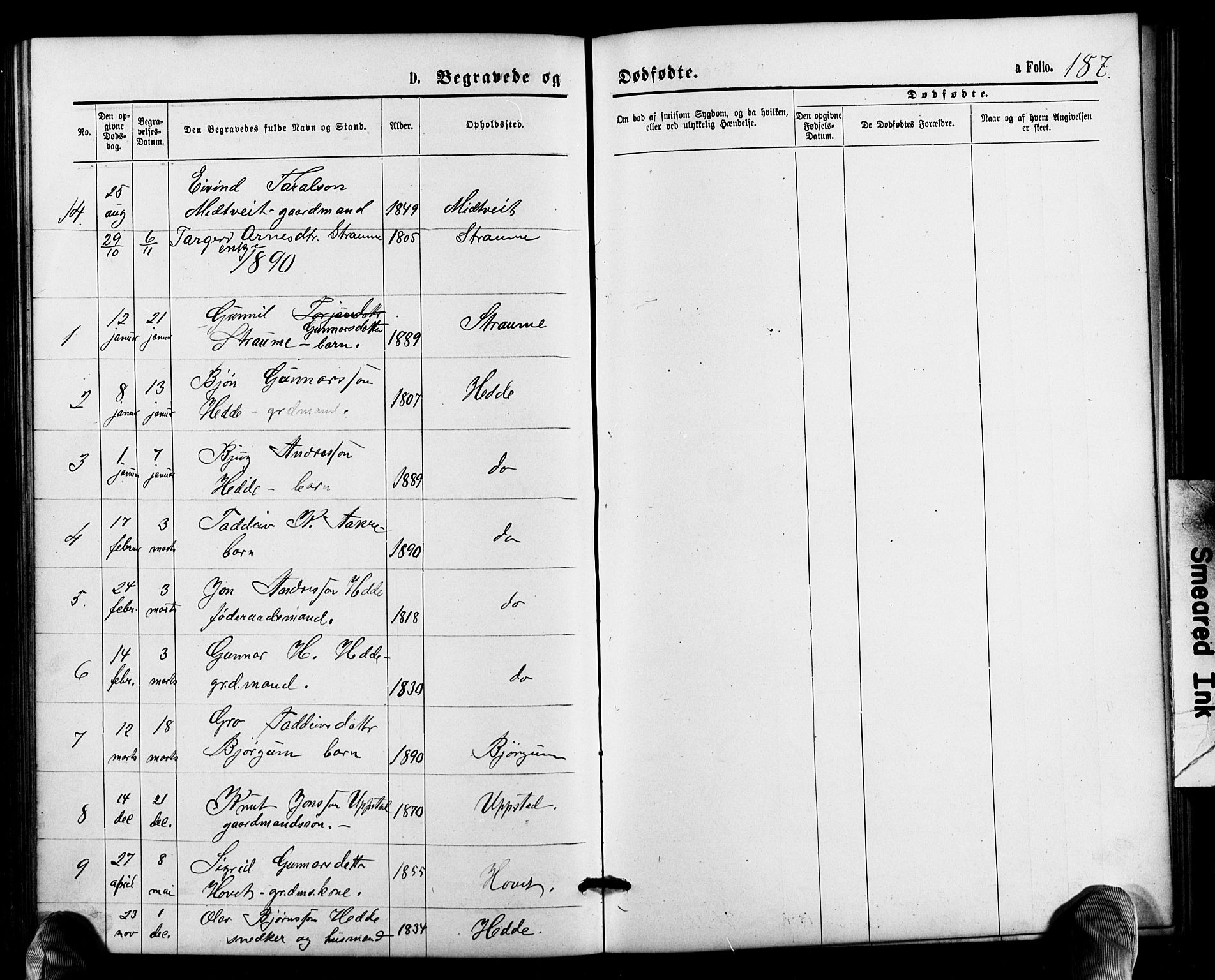 Valle sokneprestkontor, SAK/1111-0044/F/Fb/Fbb/L0002: Parish register (copy) no. B 2, 1875-1921, p. 187