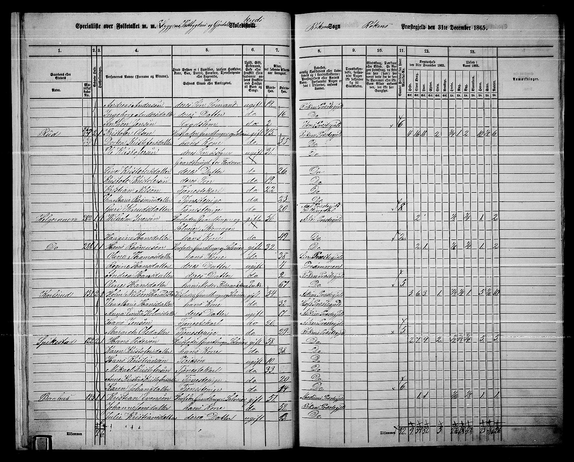 RA, 1865 census for Røyken, 1865, p. 13