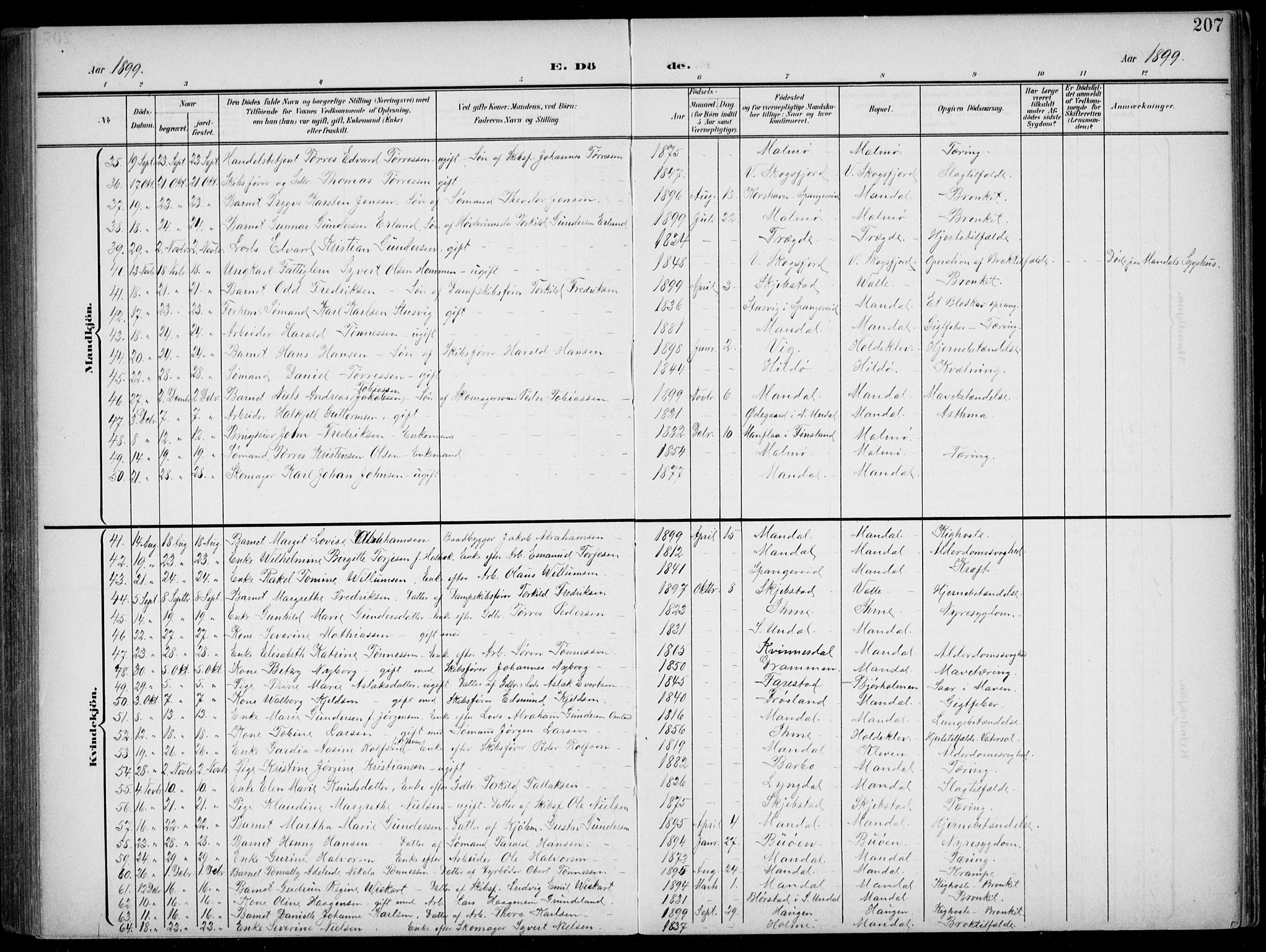 Mandal sokneprestkontor, SAK/1111-0030/F/Fb/Fba/L0012: Parish register (copy) no. B 6, 1899-1918, p. 207