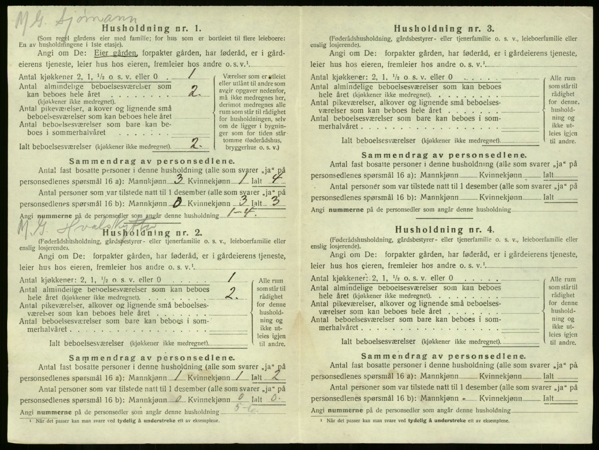 SAKO, 1920 census for Nøtterøy, 1920, p. 531