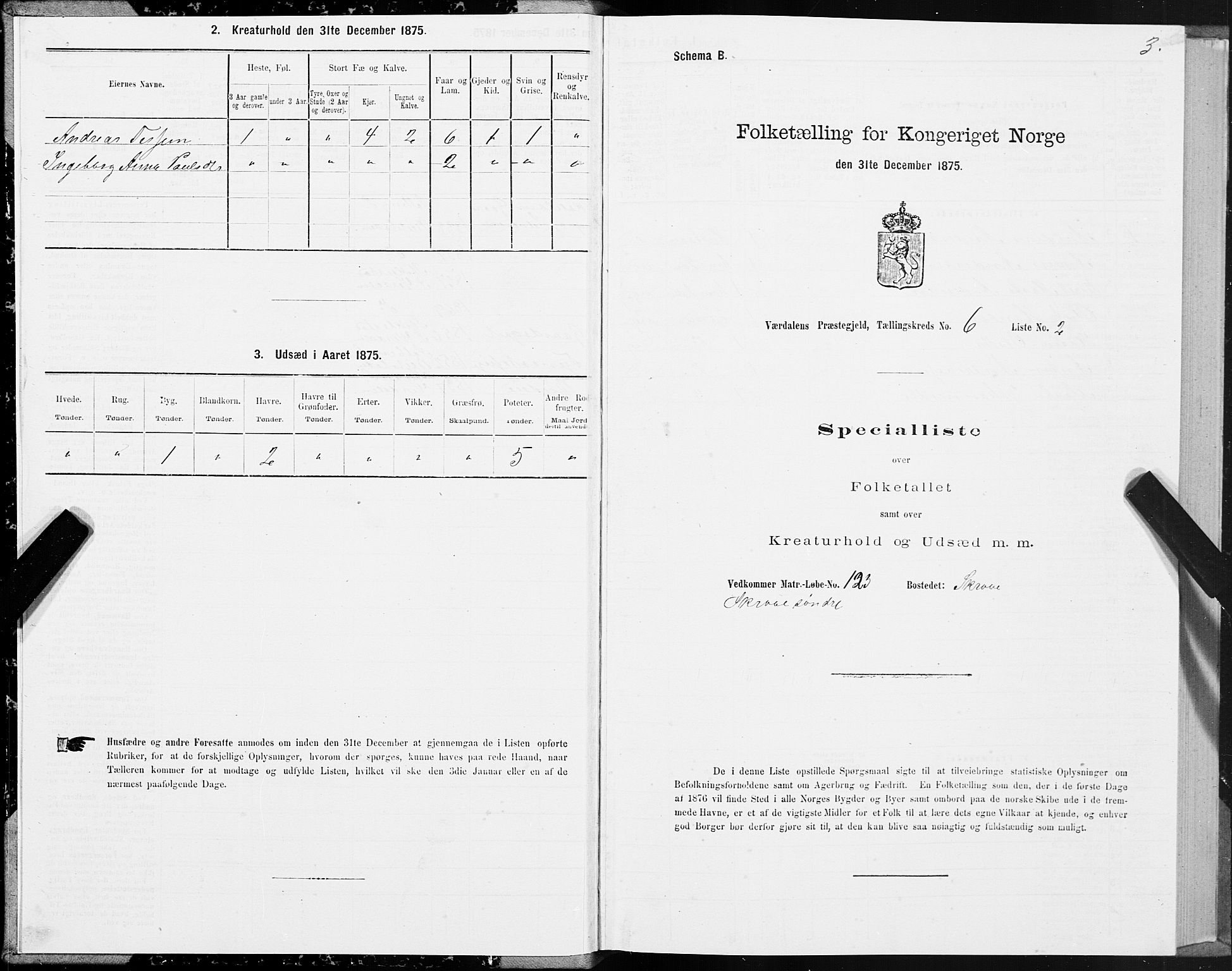 SAT, 1875 census for 1721P Verdal, 1875, p. 4003