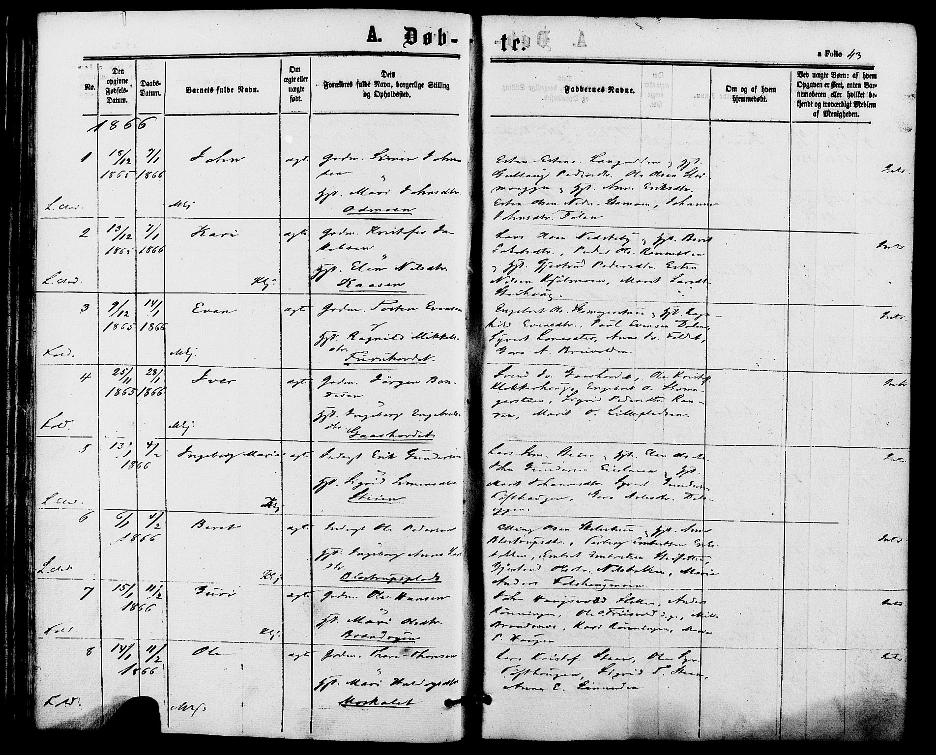 Alvdal prestekontor, SAH/PREST-060/H/Ha/Haa/L0001: Parish register (official) no. 1, 1863-1882, p. 43