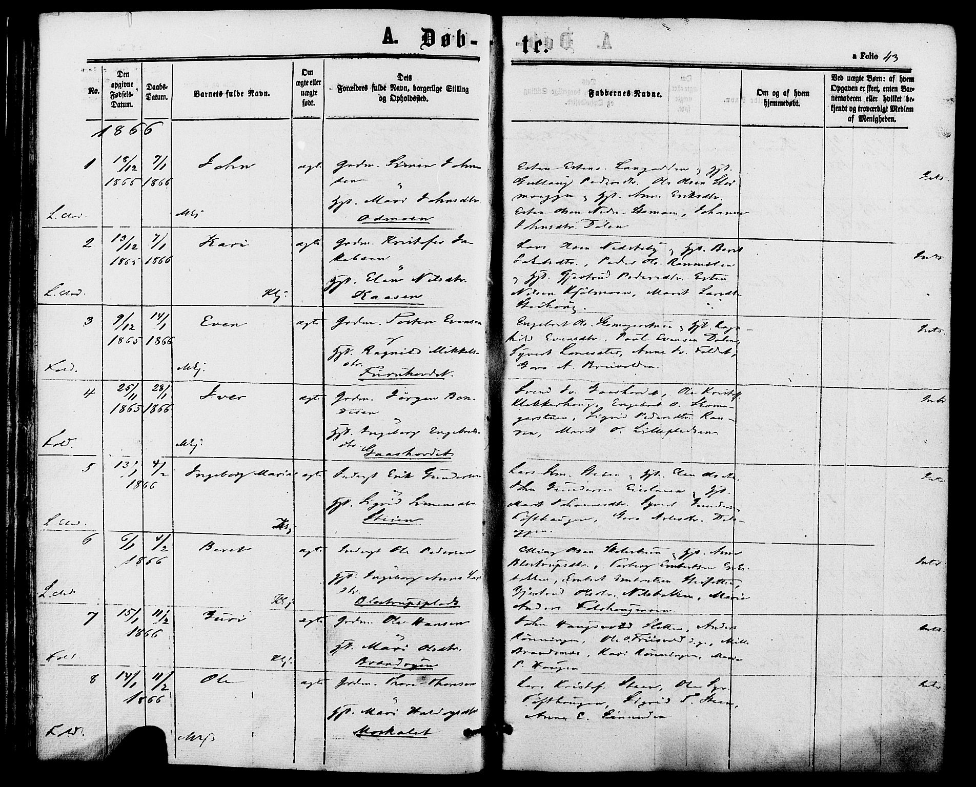 Alvdal prestekontor, AV/SAH-PREST-060/H/Ha/Haa/L0001: Parish register (official) no. 1, 1863-1882, p. 43