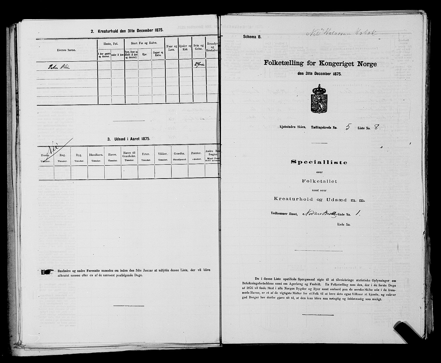 SAKO, 1875 census for 0806P Skien, 1875, p. 866