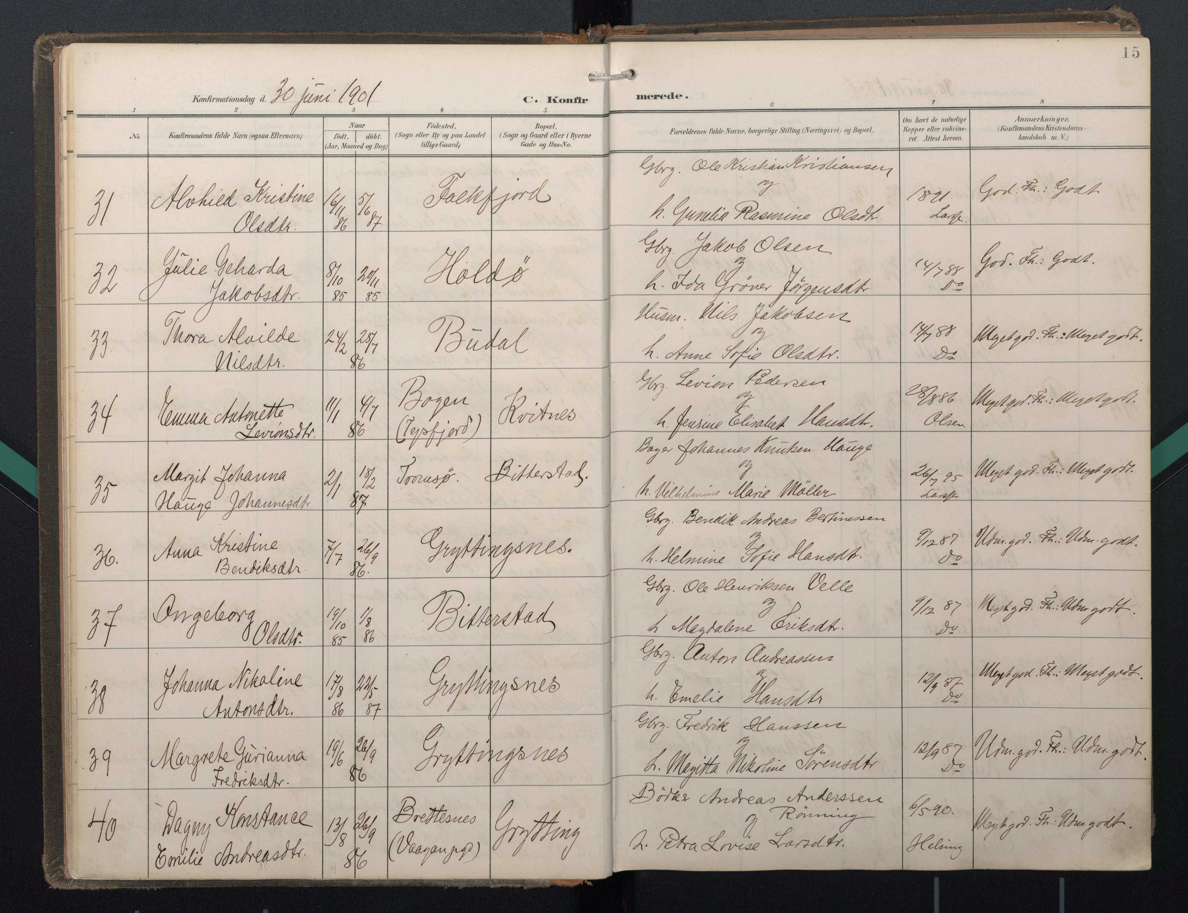 Ministerialprotokoller, klokkerbøker og fødselsregistre - Nordland, AV/SAT-A-1459/888/L1247: Parish register (official) no. 888A13, 1900-1911, p. 15