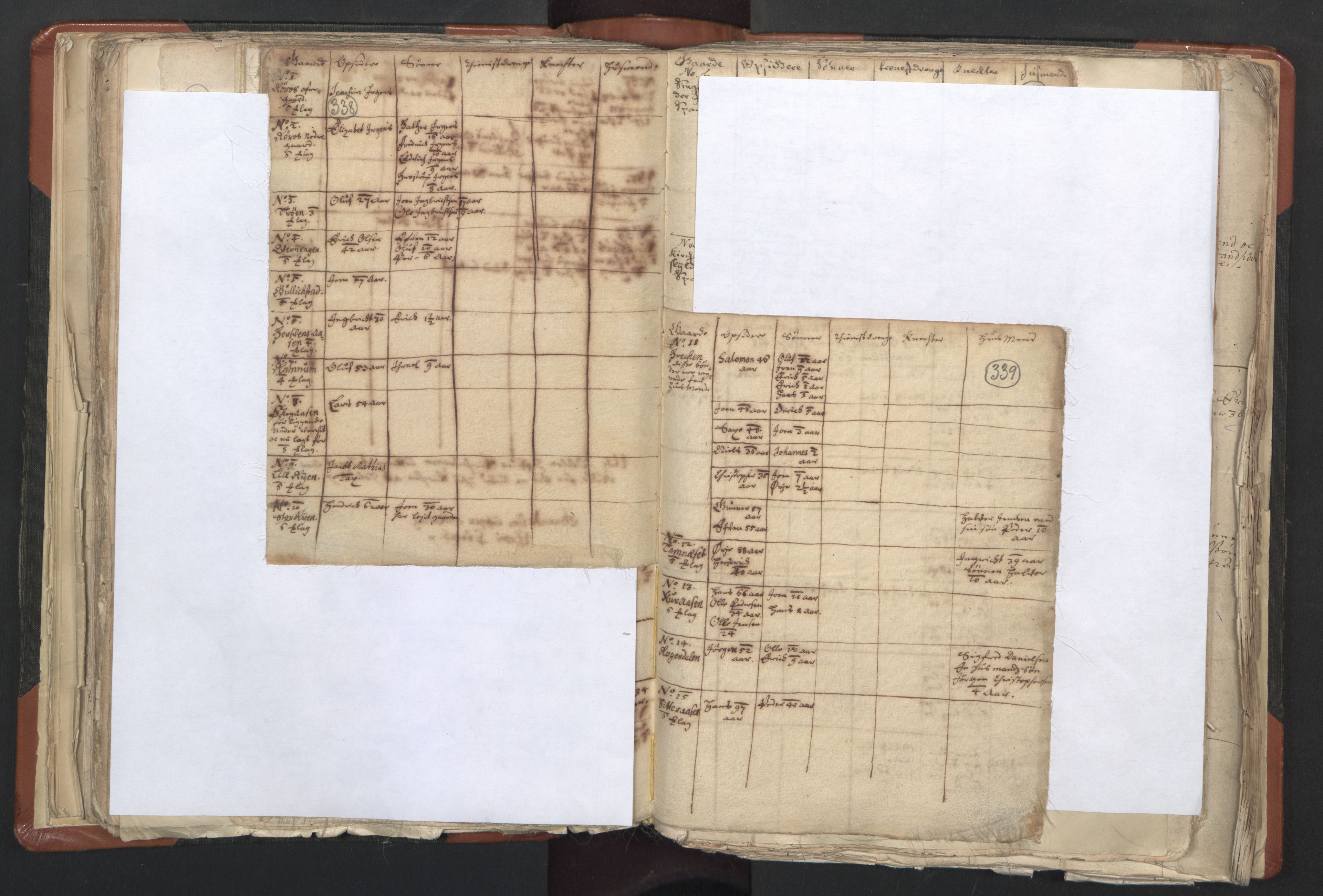 RA, Vicar's Census 1664-1666, no. 31: Dalane deanery, 1664-1666, p. 338-339