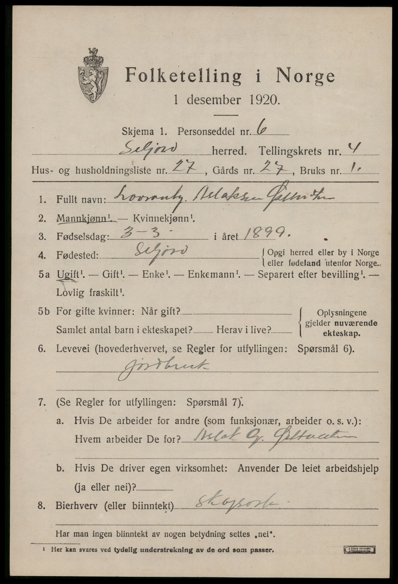 SAKO, 1920 census for Seljord, 1920, p. 2372