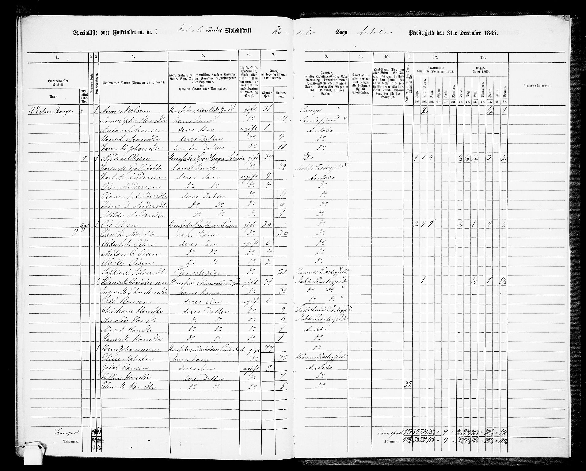 RA, 1865 census for Andebu, 1865, p. 113